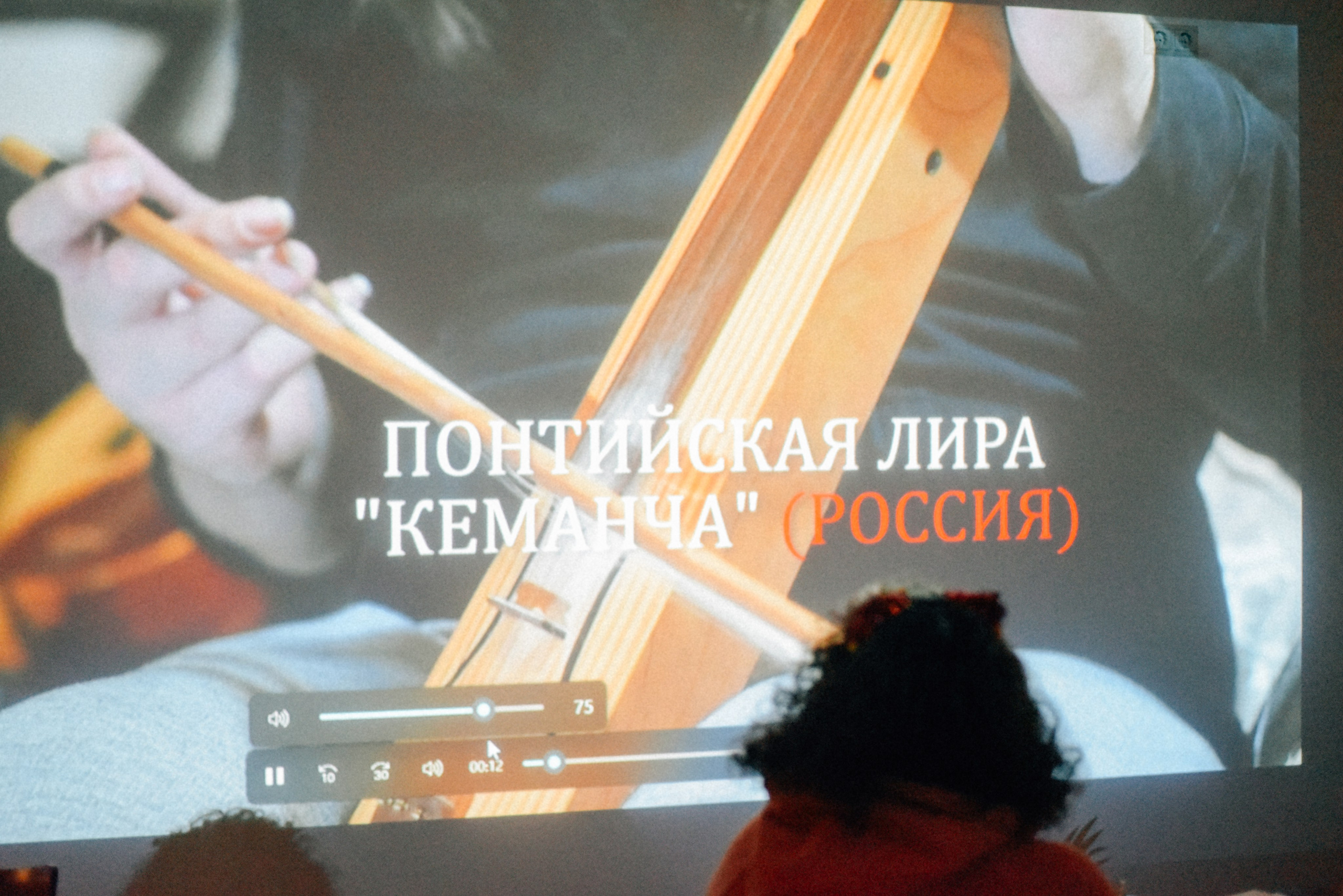 ЧТО ТЫ МЕЛЕШь Вечер вьетнамского караоке. Фотограф Лола Волна, город Москва