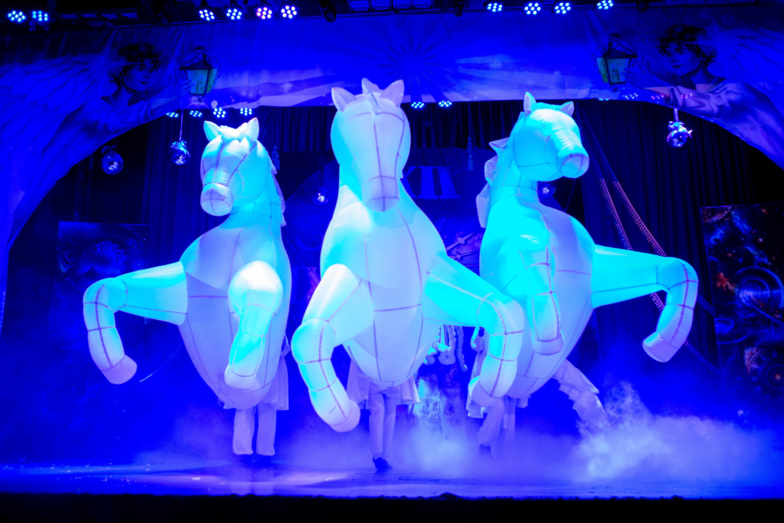 Концерты. Анна Епихина фотограф Москва, Балашиха