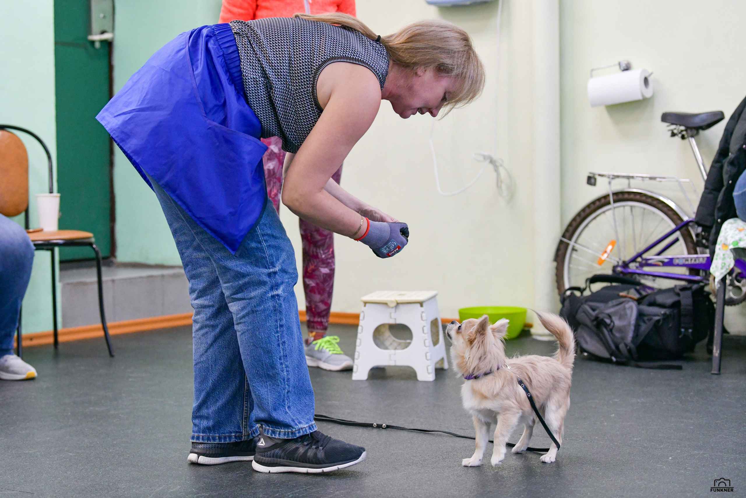 Кинологический клуб «Бодрый хвост». Свой взгляд через объектив