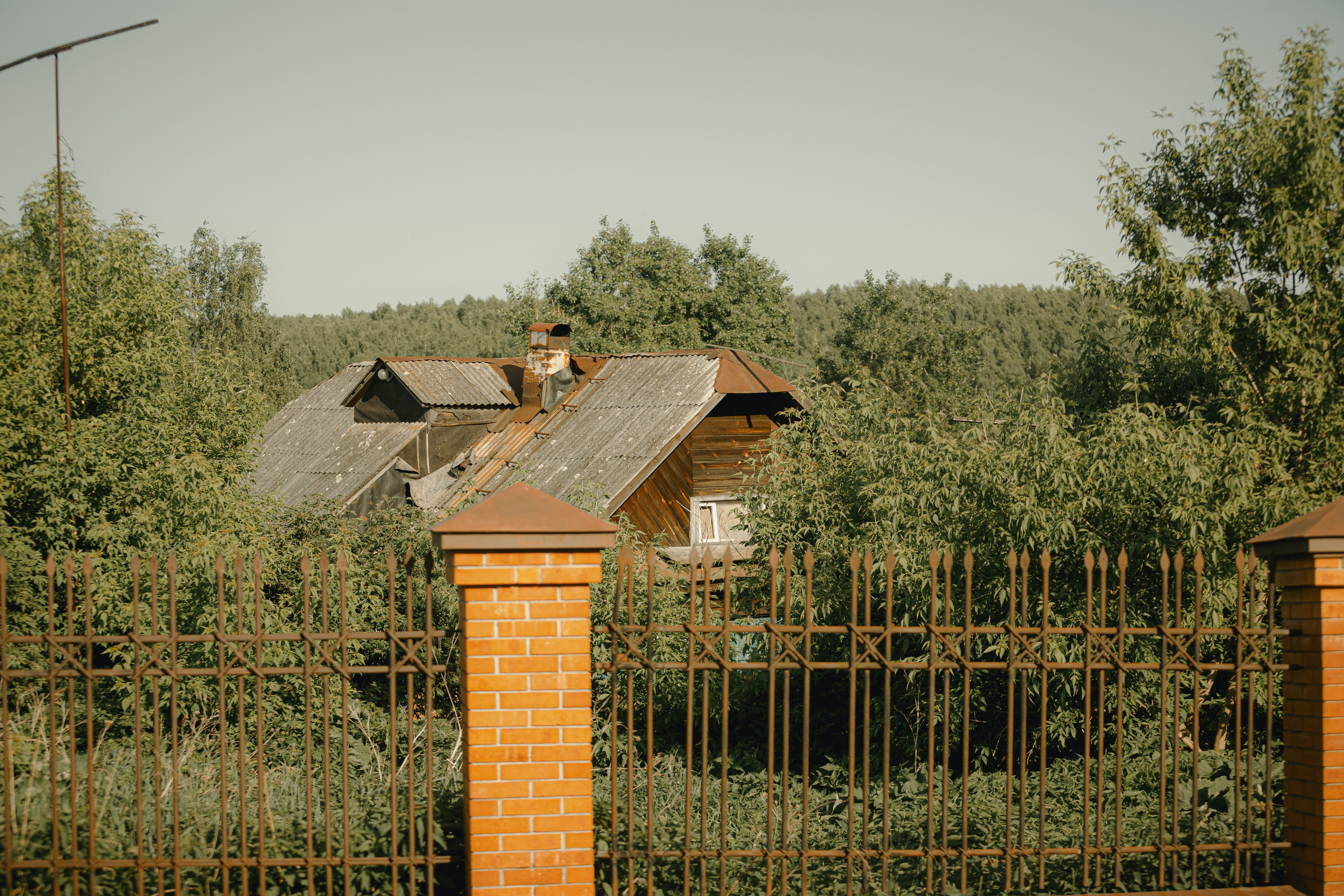 IX Фестиваль Чайной культуры в Тобольске 2025. Арт-фотограф Крис Л. в Тобольске: портрет, семейные, свадьбы