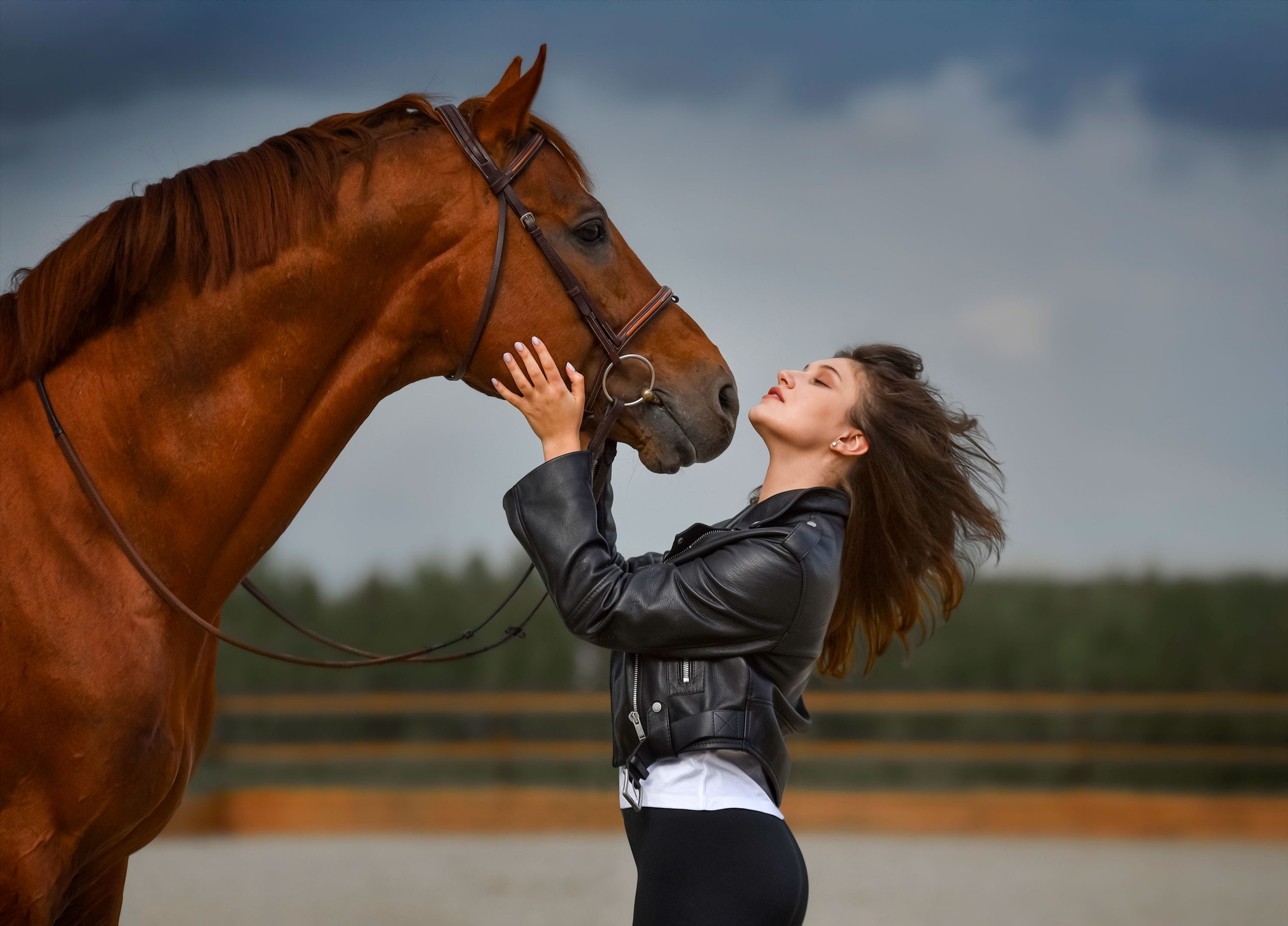 Съемки с лошадьми. Конный фотограф из Москвы Ирина Бондаркова