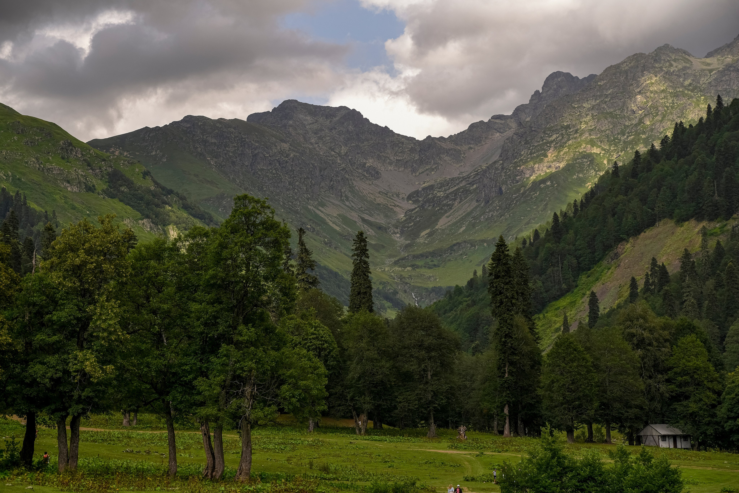 Goblincore, природа, фэнтези, нечисть, лес, гоблинкор, эльфы, фотосессии, костюмированные