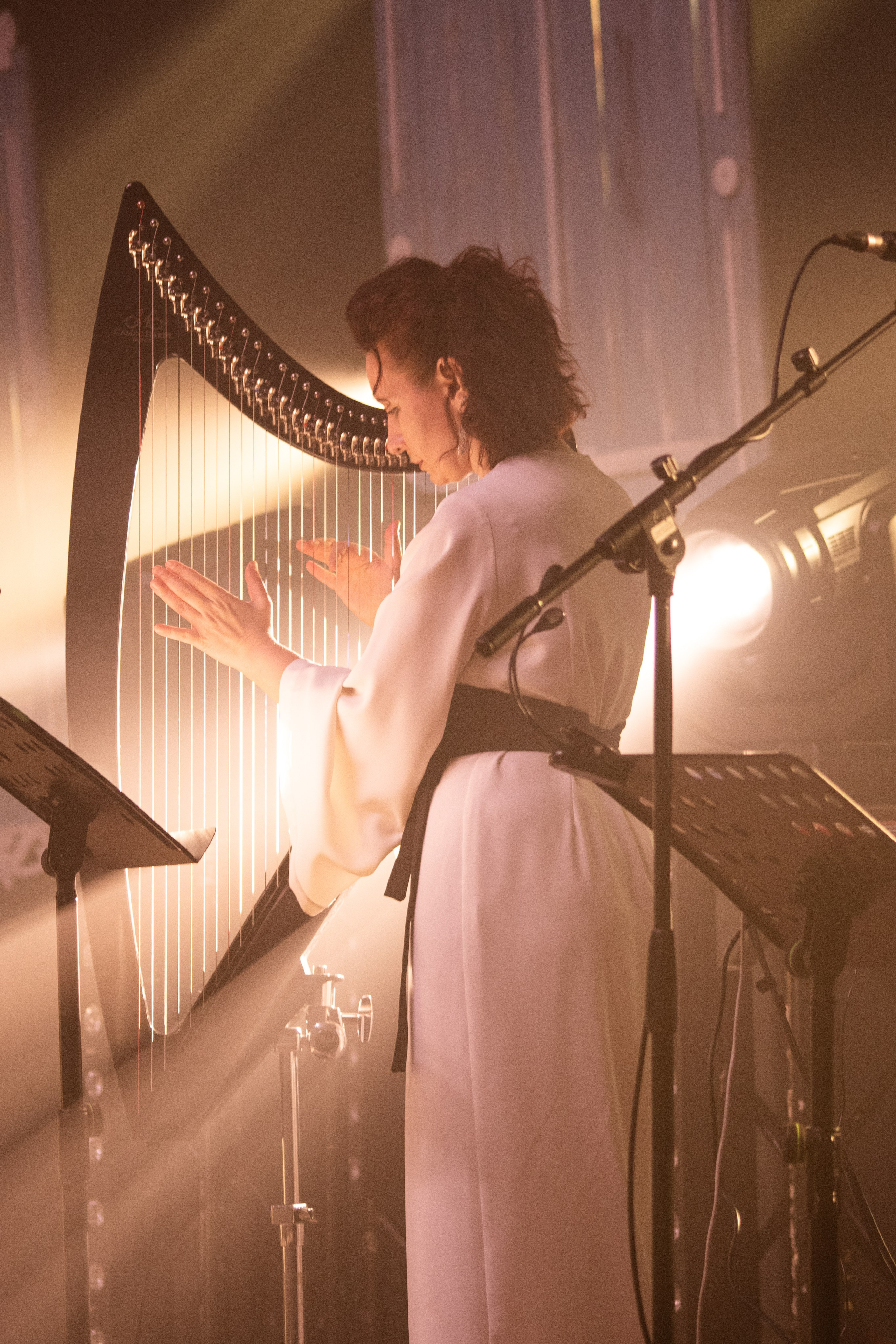 Концерт GURUDE «Сердце дерева». Фотограф в Нижнем Новгороде Екатерина Хисматулина