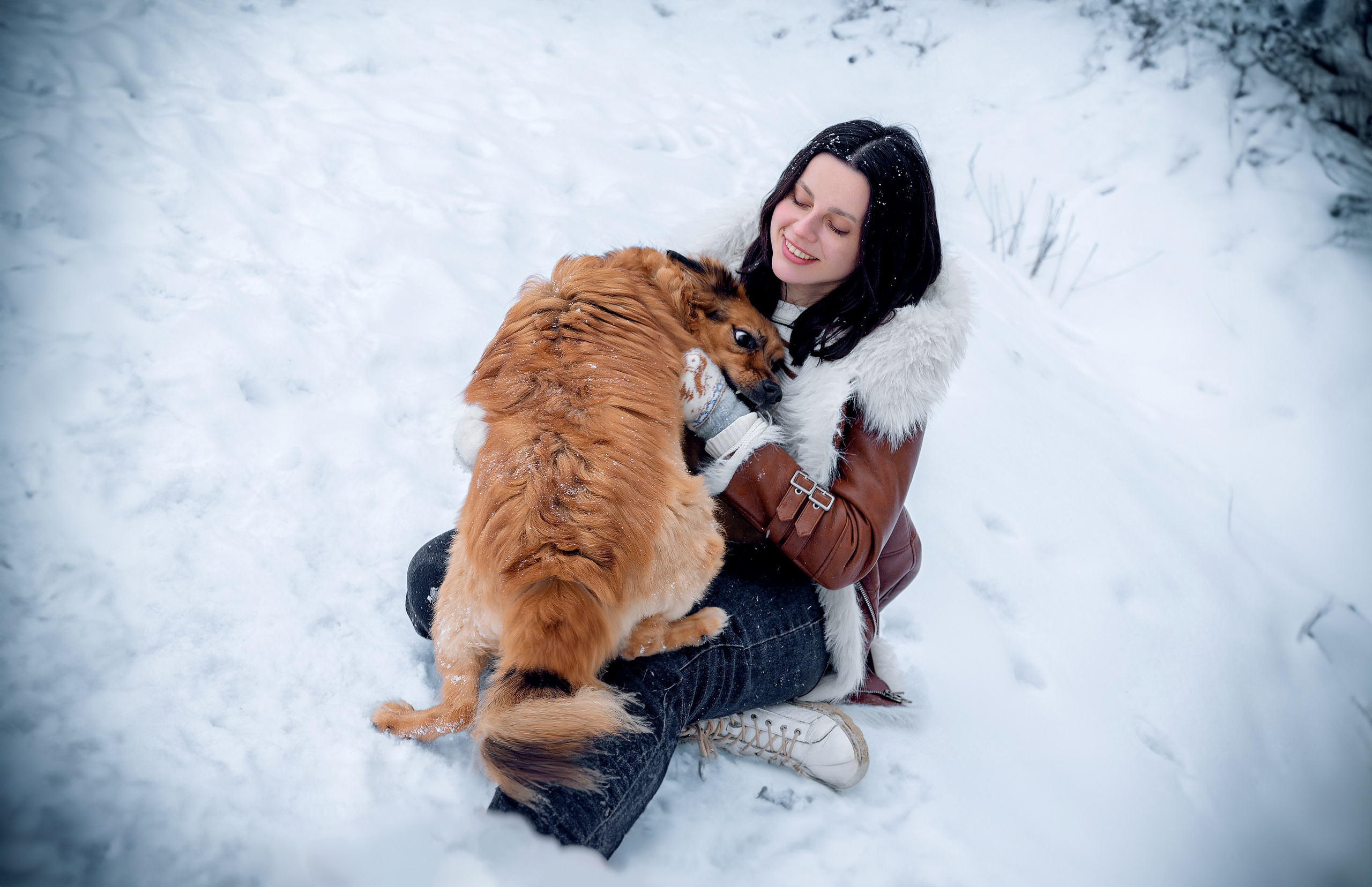 Фотосессия с собакой в зимнем лесу
