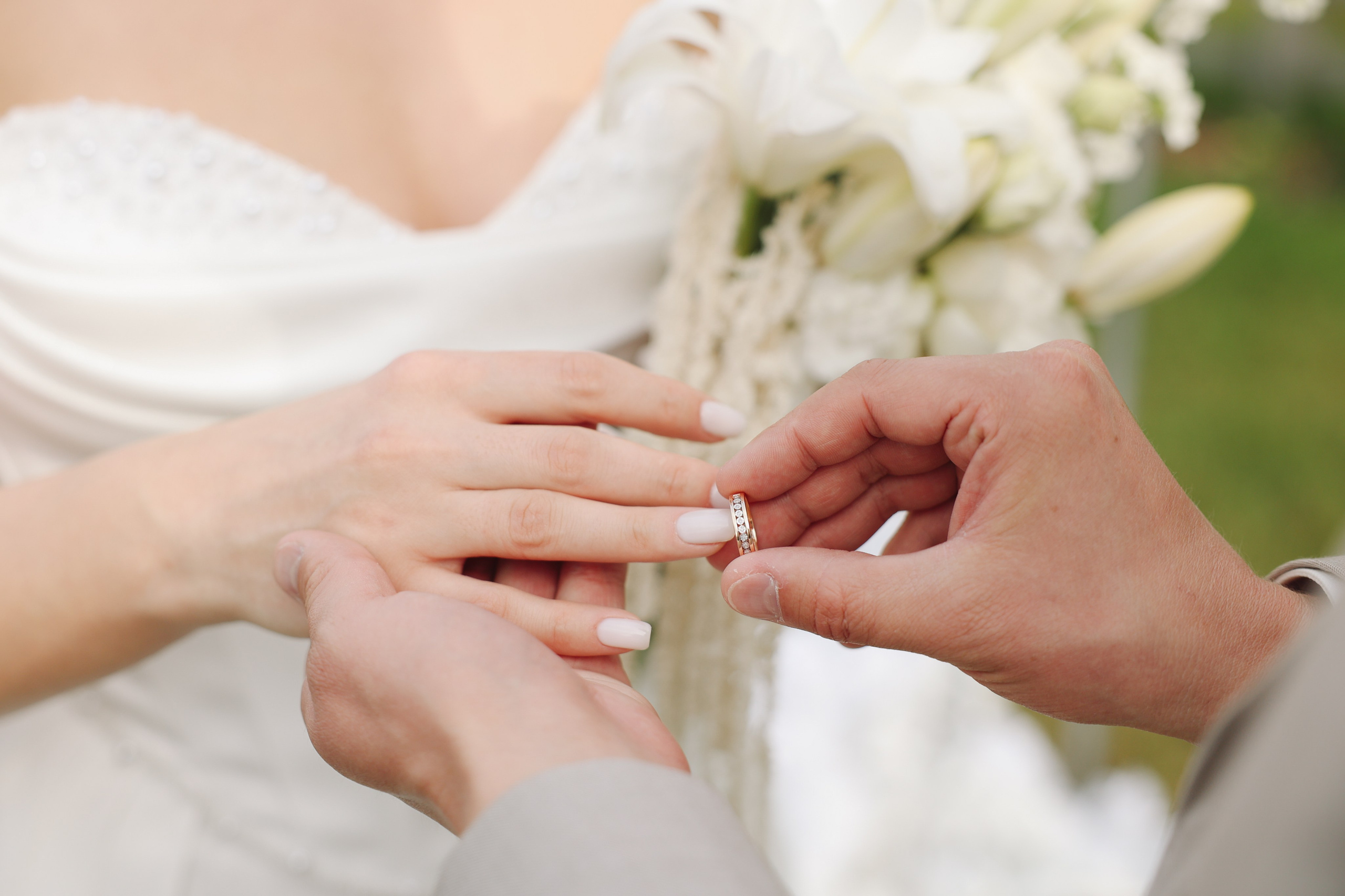 Botanika. Главная