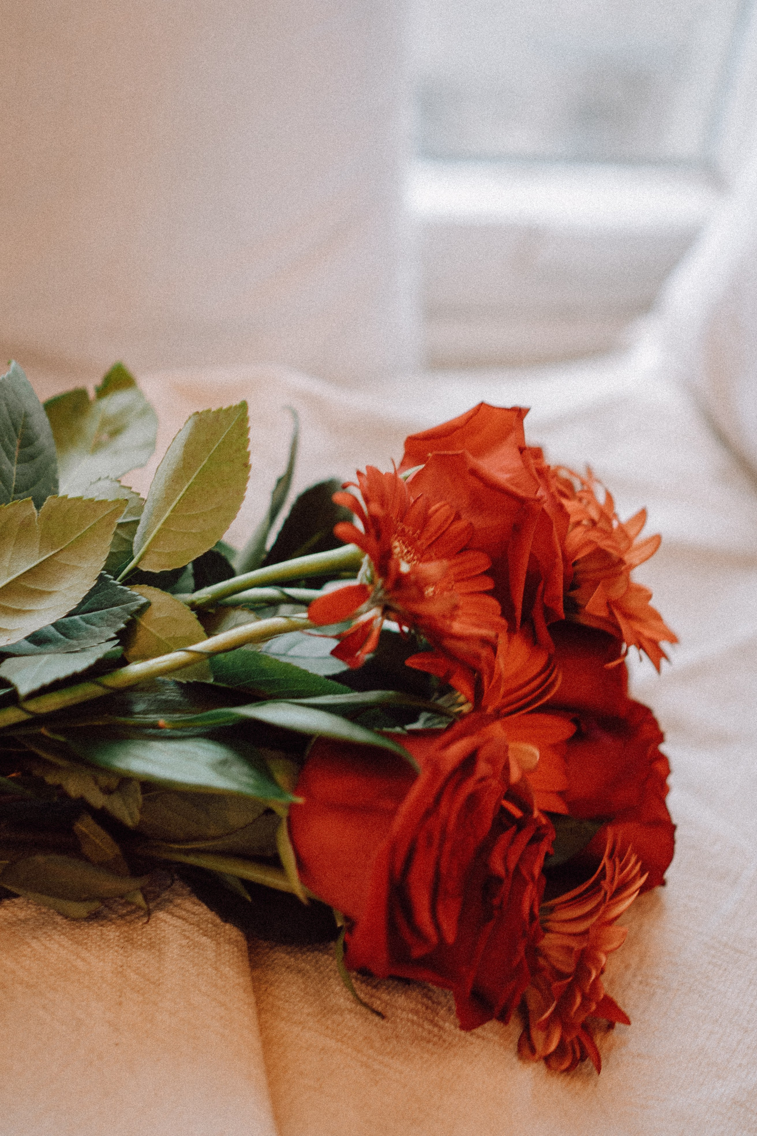 Новогодний стиль вдвоем. Профессиональный фотограф, Санкт-Петербург — Виктория Богомолова