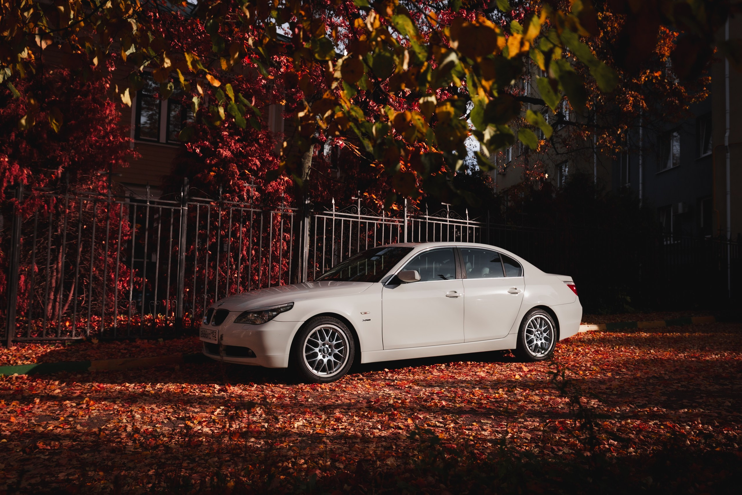 BMW 525. Фотограф Нижний Новгород — Дмитрий Грехов