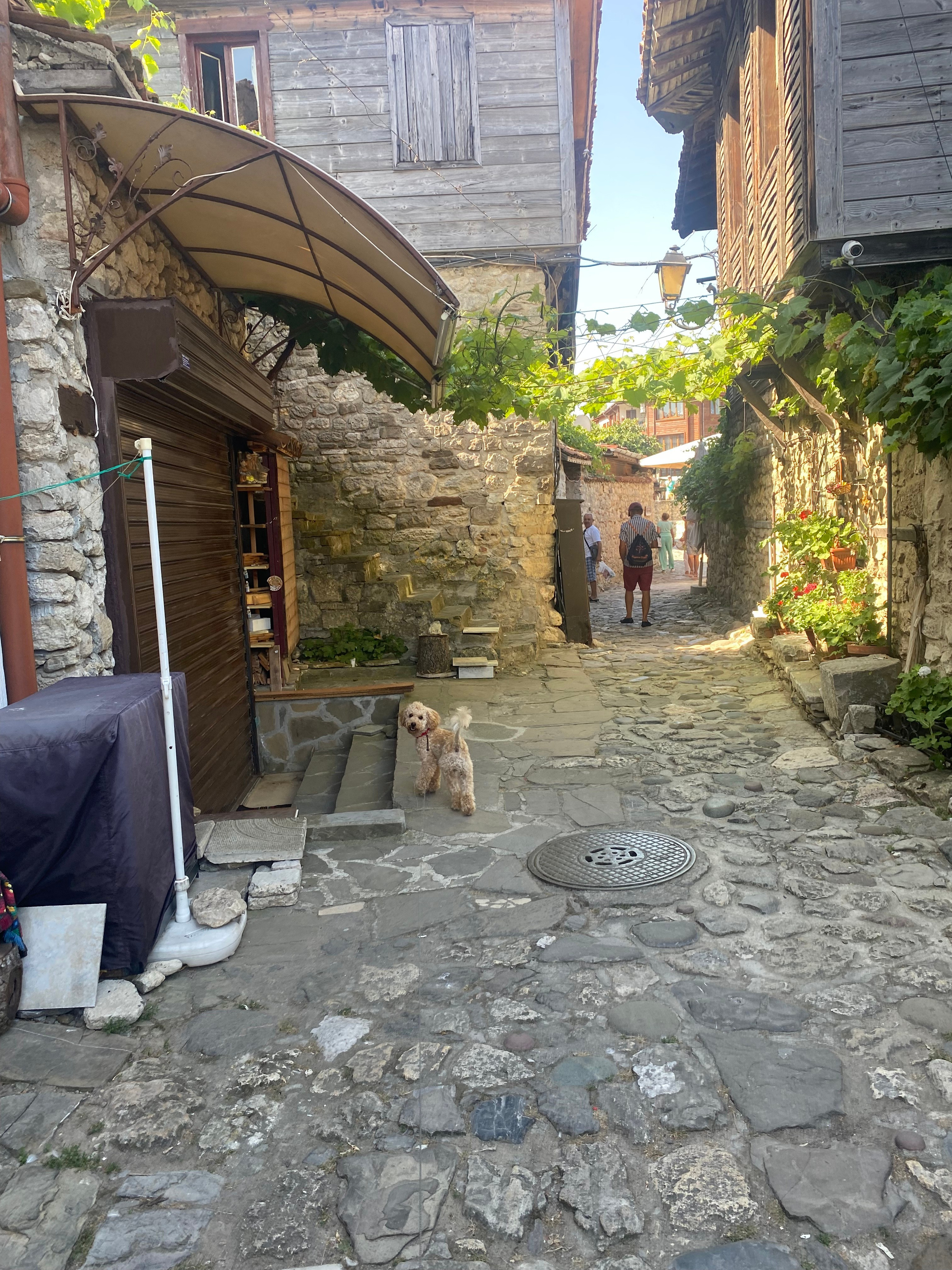 Равда, Несебр — 21. Своя Мастерская