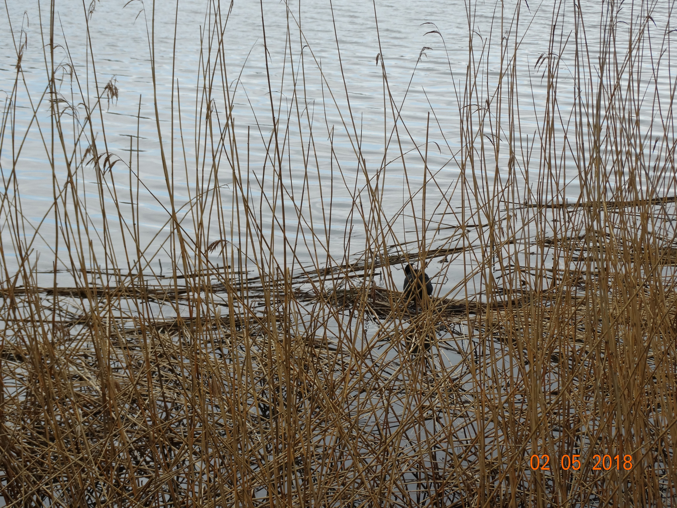 Хельсинки -18. Своя Мастерская