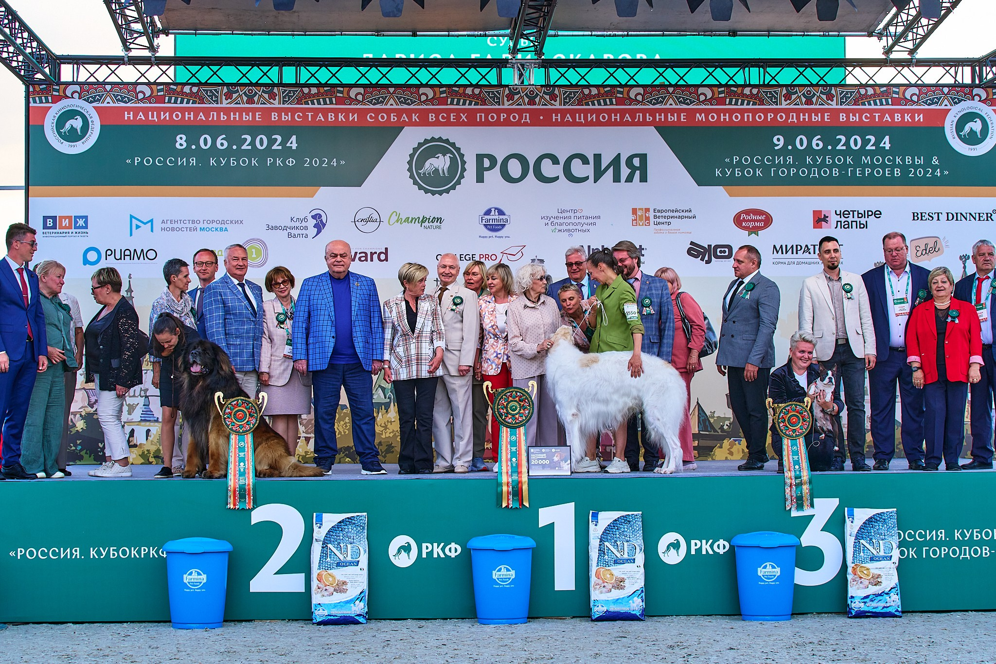 08.06.2024 «РОССИЯ. КУБОК РКФ 2024»