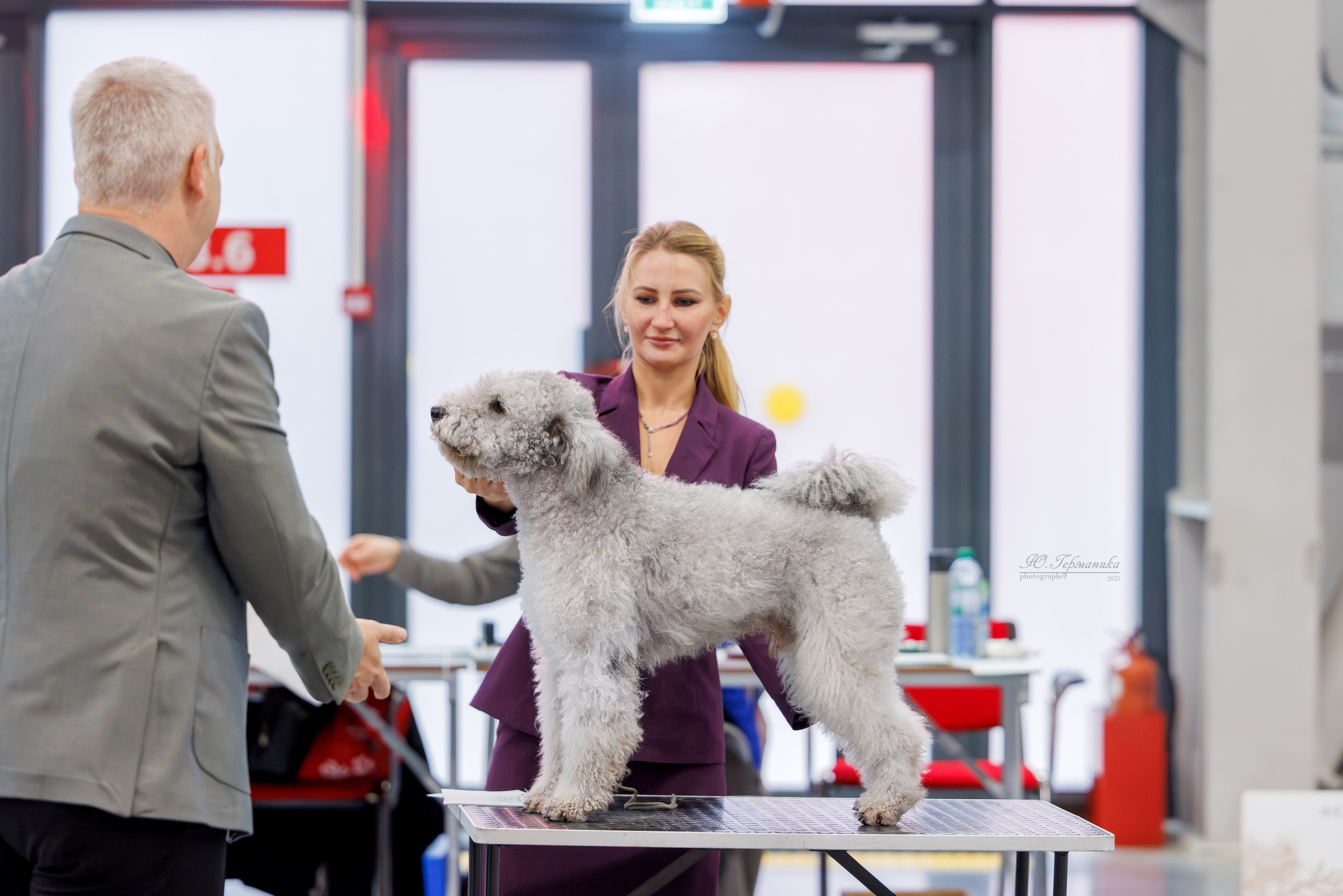 Зилант Казань 29-30.11.2025. Фотограф-анималист Юлия Германика