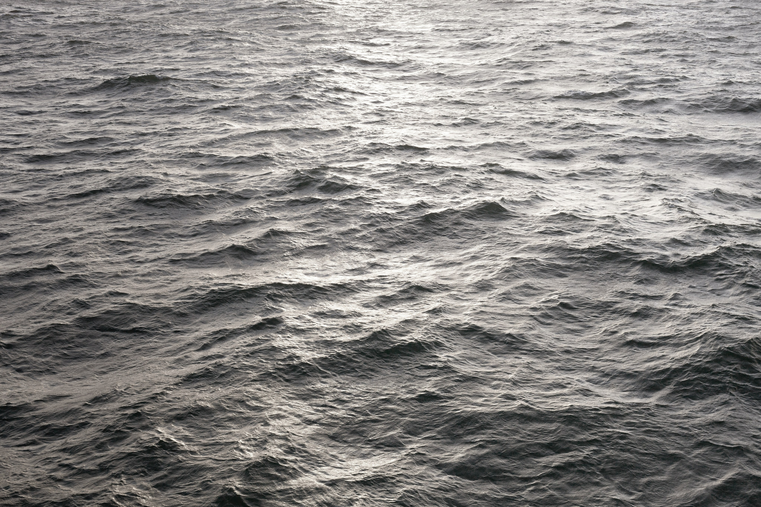 Ареал обитания. Фотографии Саши Любина