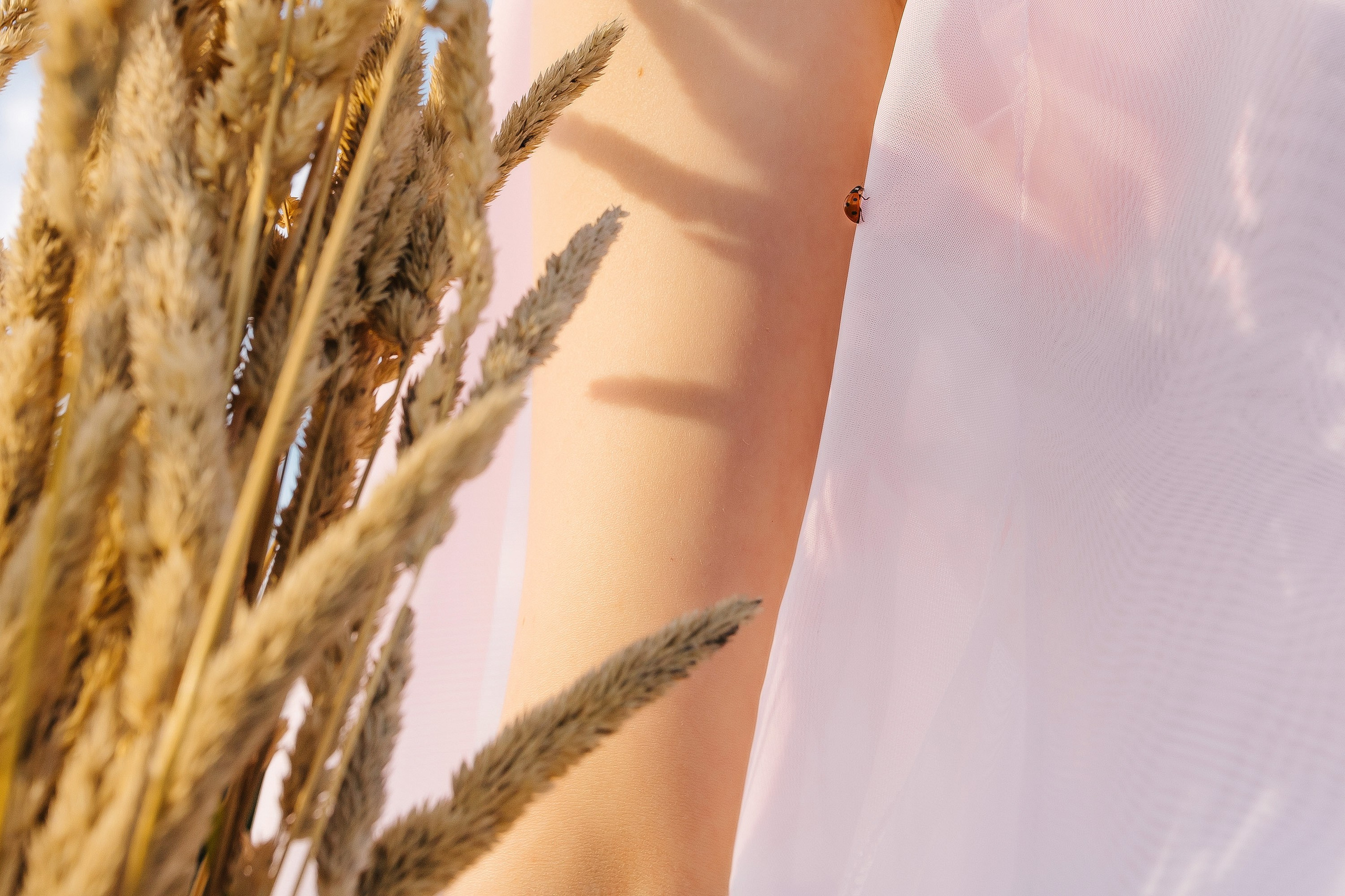 Мечты о лете. Фотограф в Санкт-Петербурге Юлия Ласкари