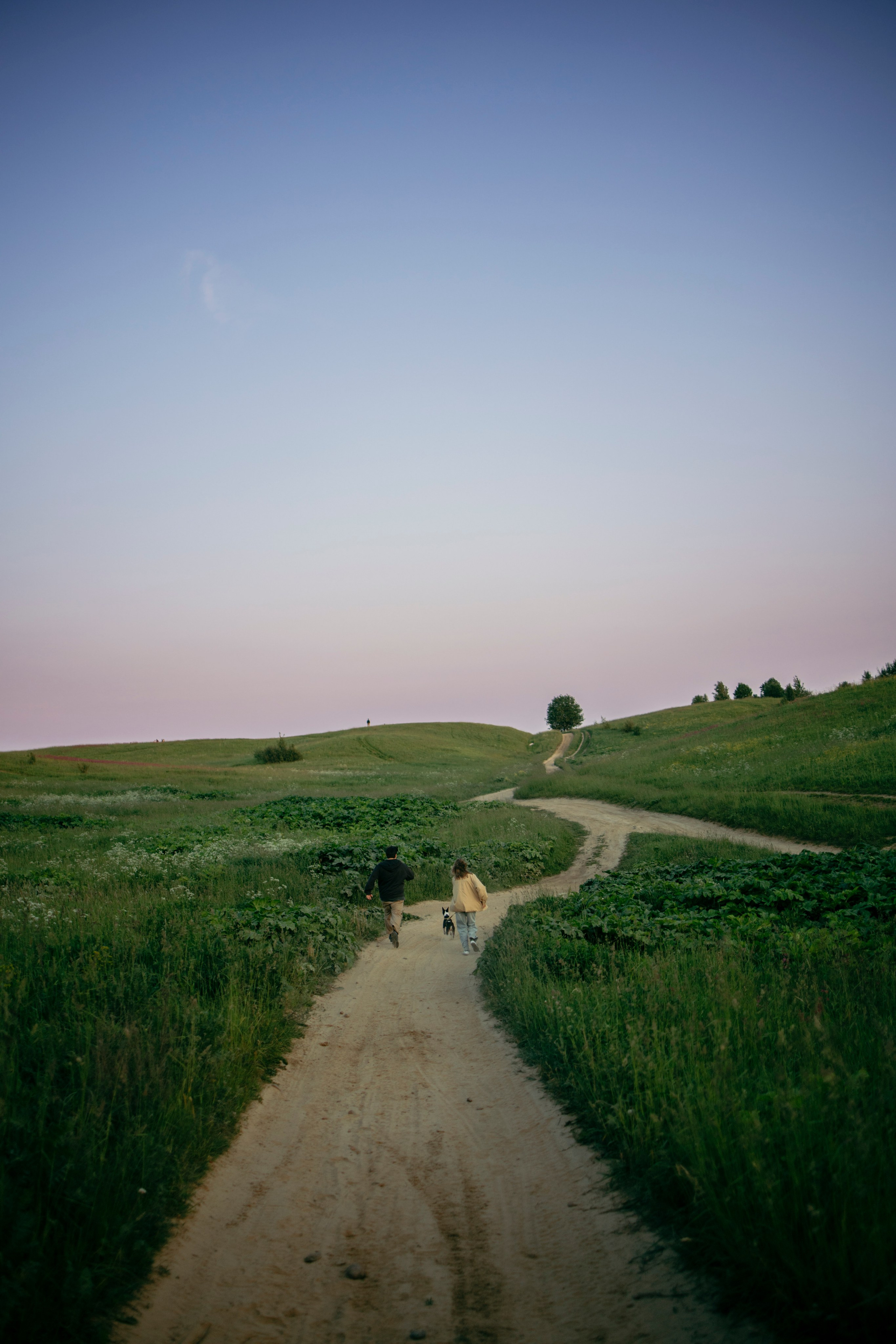Итачи и его семья 🐾. Фотограф-анималист в Санкт-Петеребурге Титова Алиса