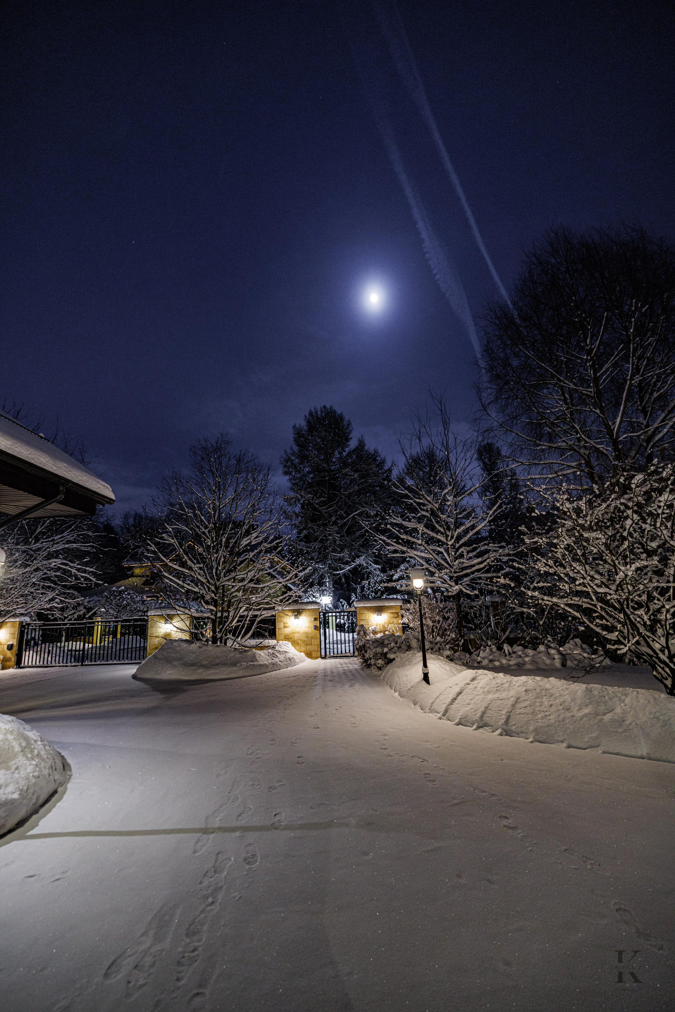 Природа 31 Декабря 2025 года. Клены. Фотографирую жизнь! Московский фотограф волонтер