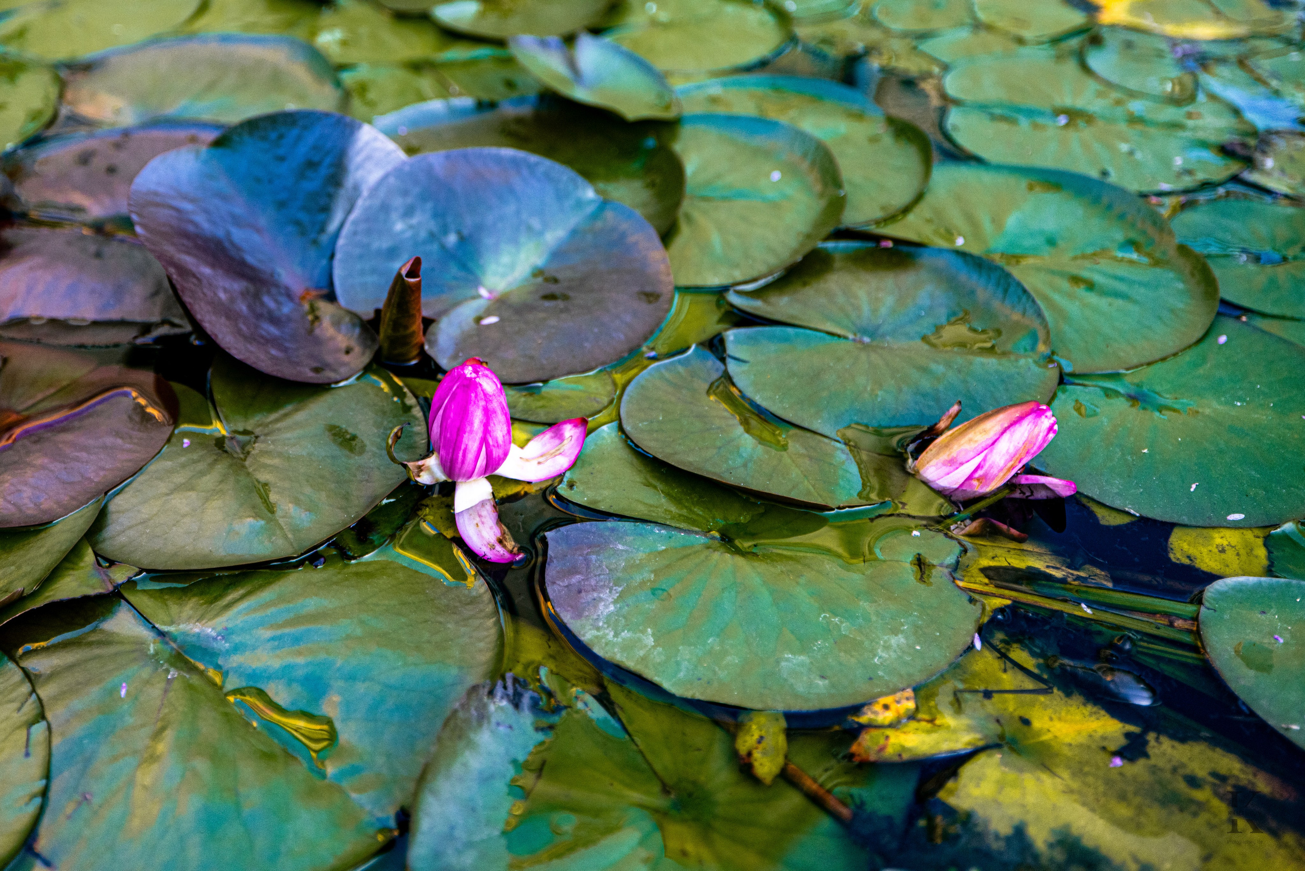 Москва. Август 2025 года. Кузнецкий мост. Люди, детали. Фотографирую жизнь! Московский фотограф волонтер