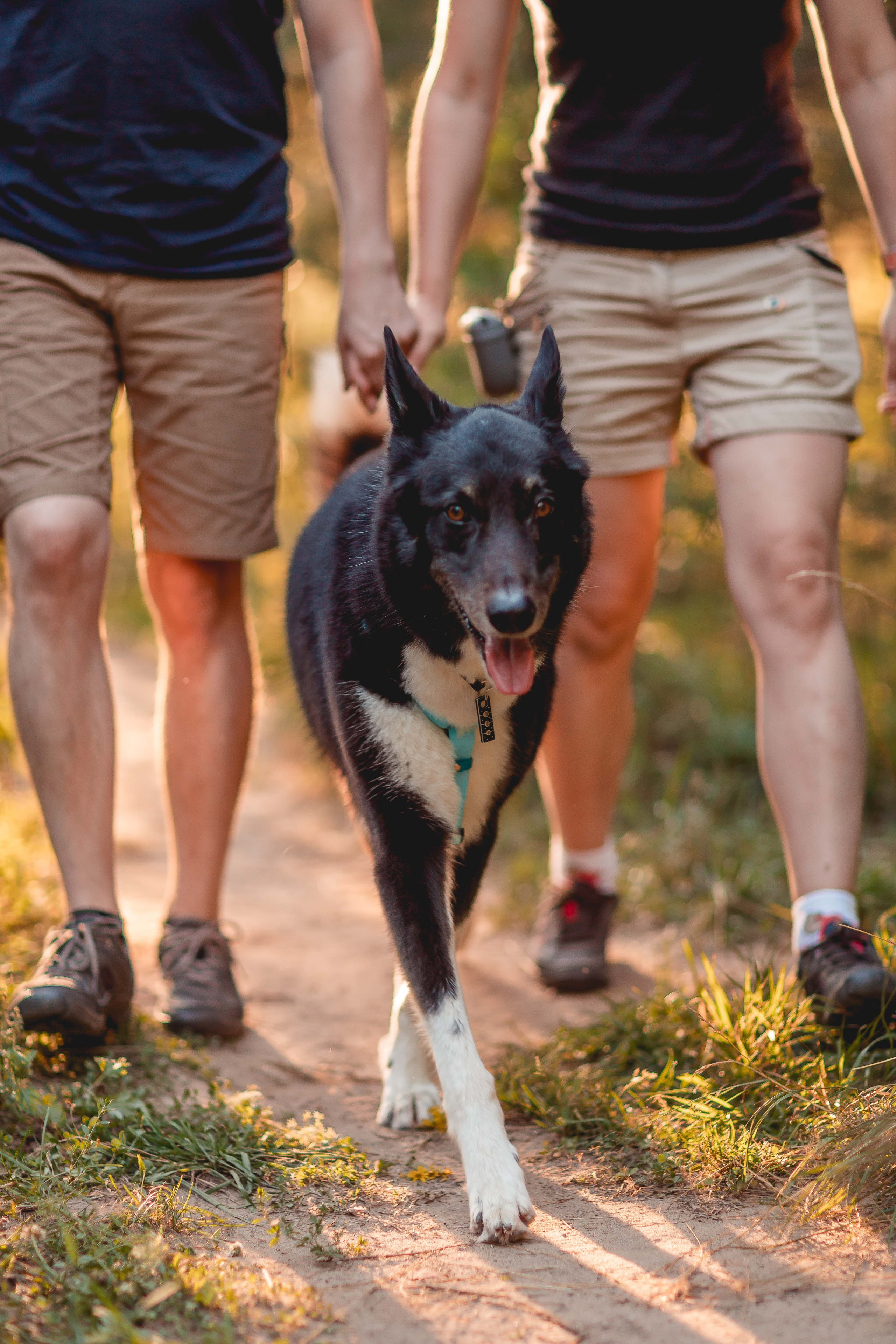Космос и его люди. Семейный фотограф анималист Мария Крючкова