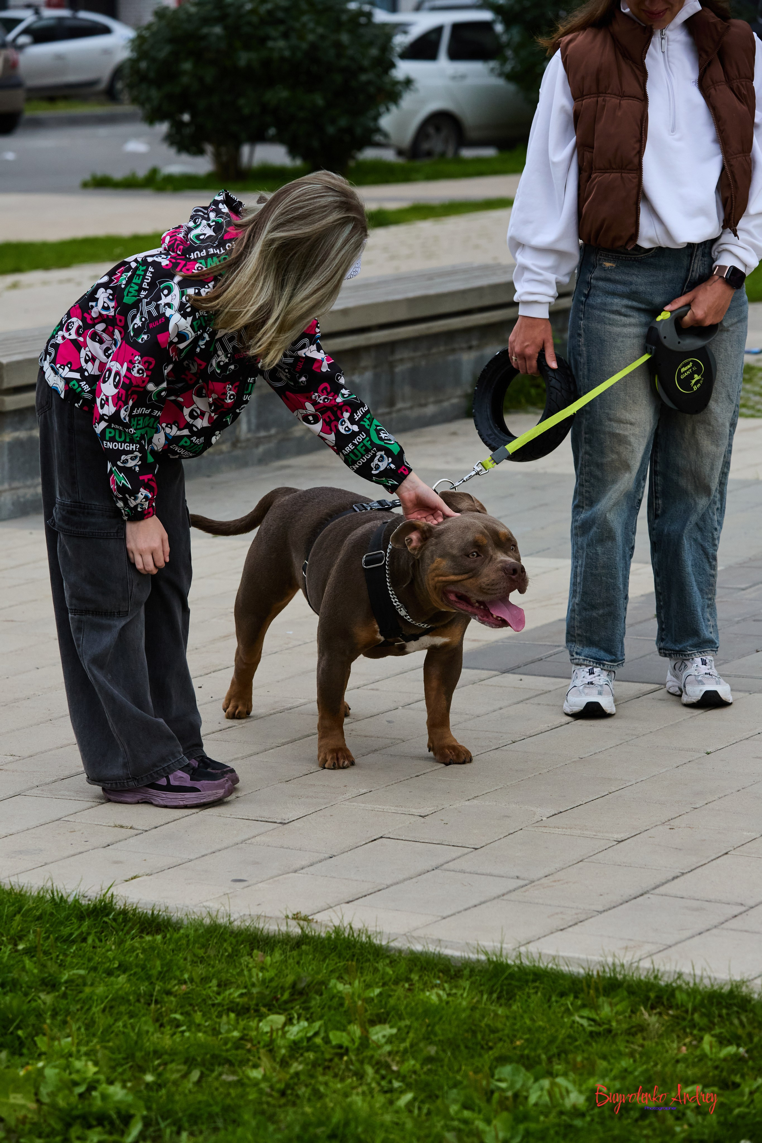 Проект фотопрогулка с хвостиком. Buyvolenko Andrey
