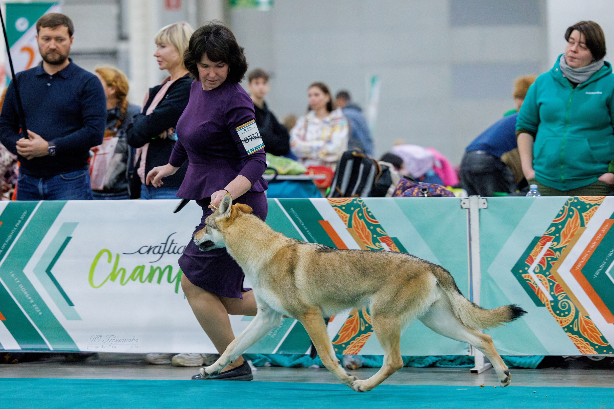 Евразия 16-17.11.2024. Фотограф-анималист Юлия Германика