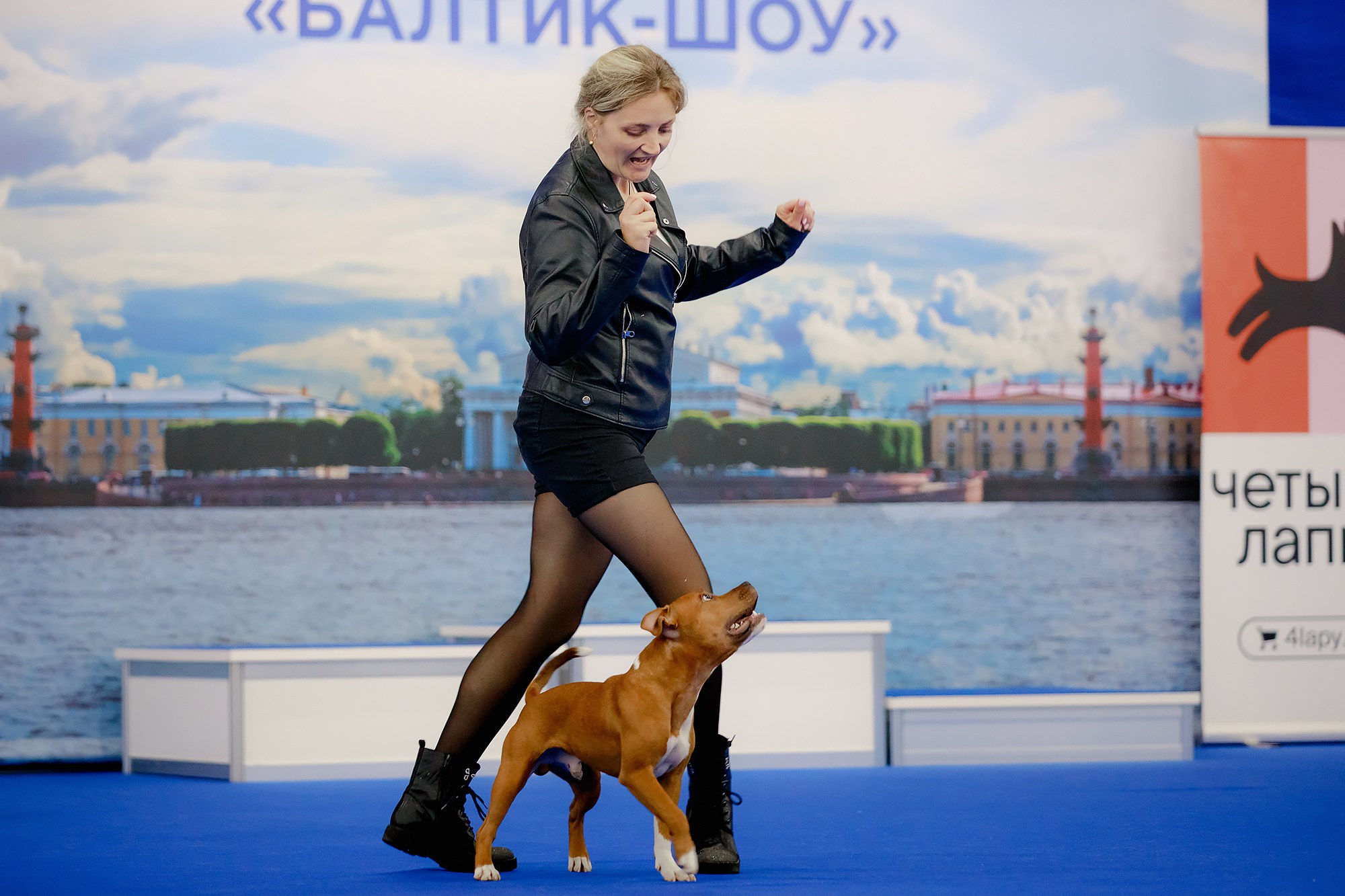 Танцы на выставке «Зоошоу», СПб. Фотограф-анималист Mary Mart — Москва, Питер