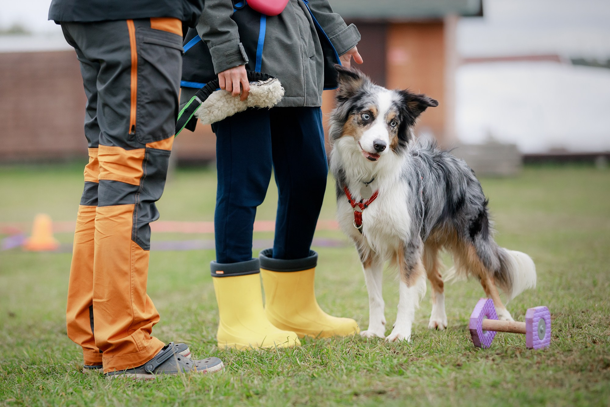 Лагерь по ОБД с Инной Баженовой. Фотограф-анималист Mary Mart — Москва, Питер