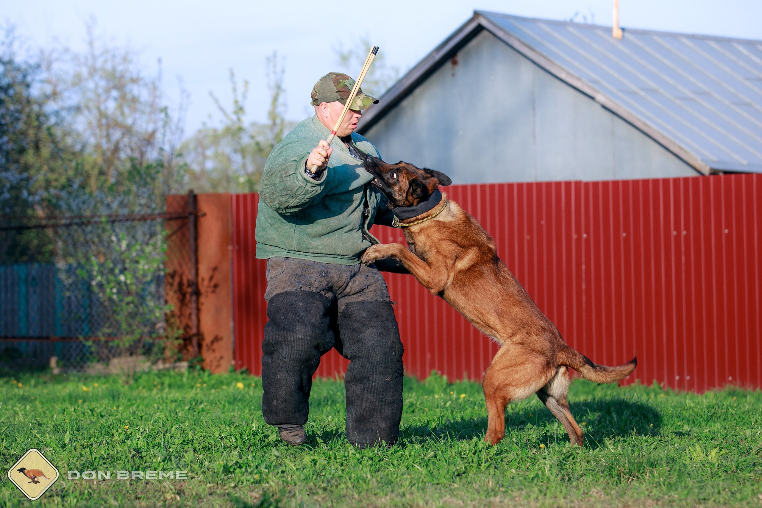 Семинар для фигурантов, день 4. Фотограф-анималист Mary Mart — Москва, Питер