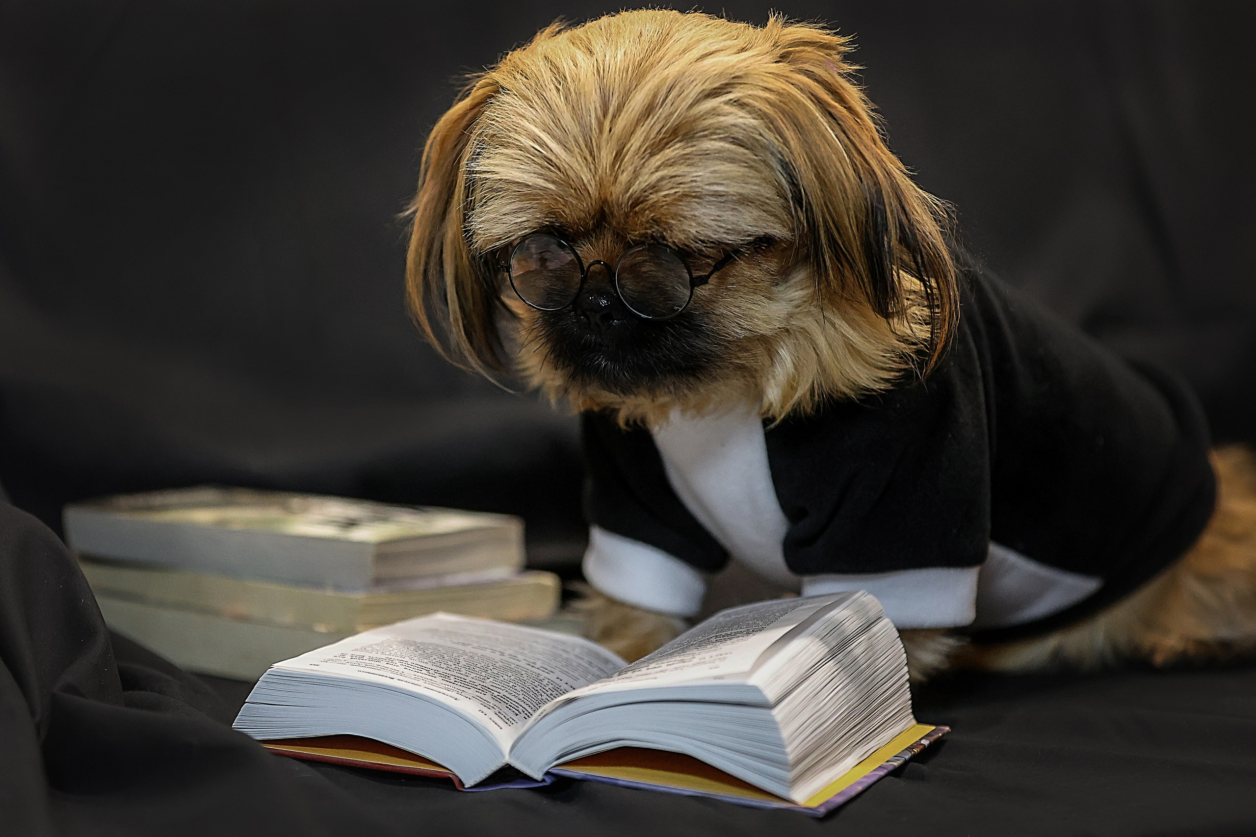 В СТУДИИ. Фотограф-АниМалист Анна Абрамова