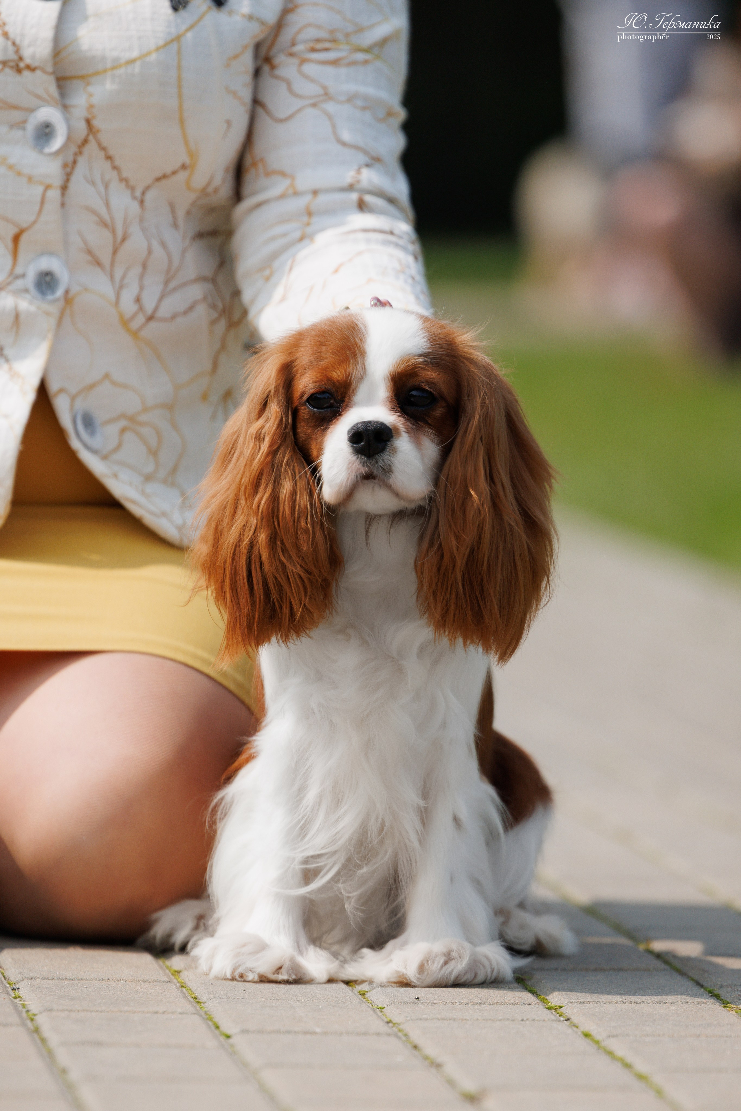Минск 31.05-1.06.2025. Фотограф-анималист Юлия Германика