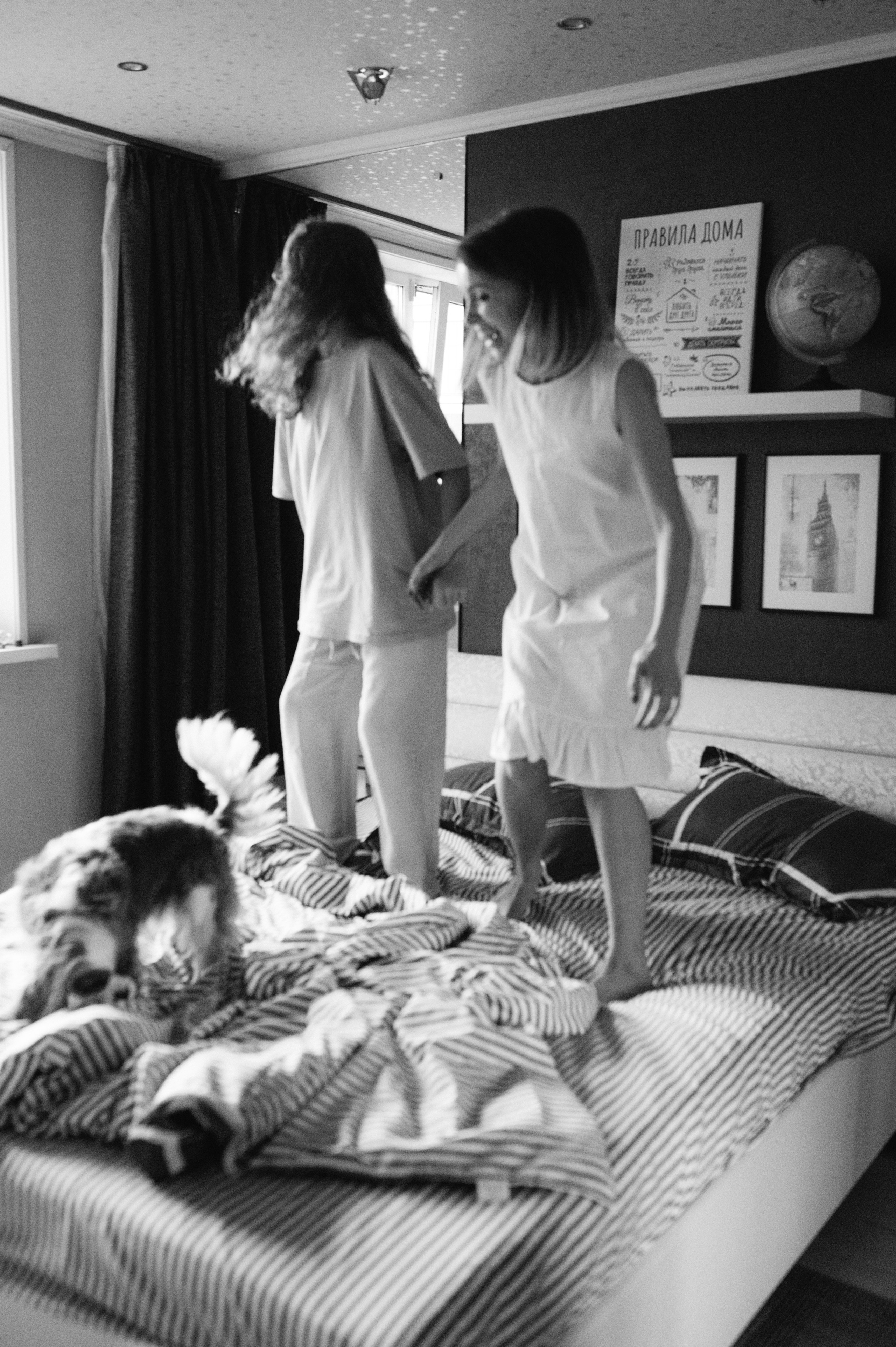 Даша, Диана, Дебби и маленькая крыска. Фотограф анималист в Москве Ольга Агушева