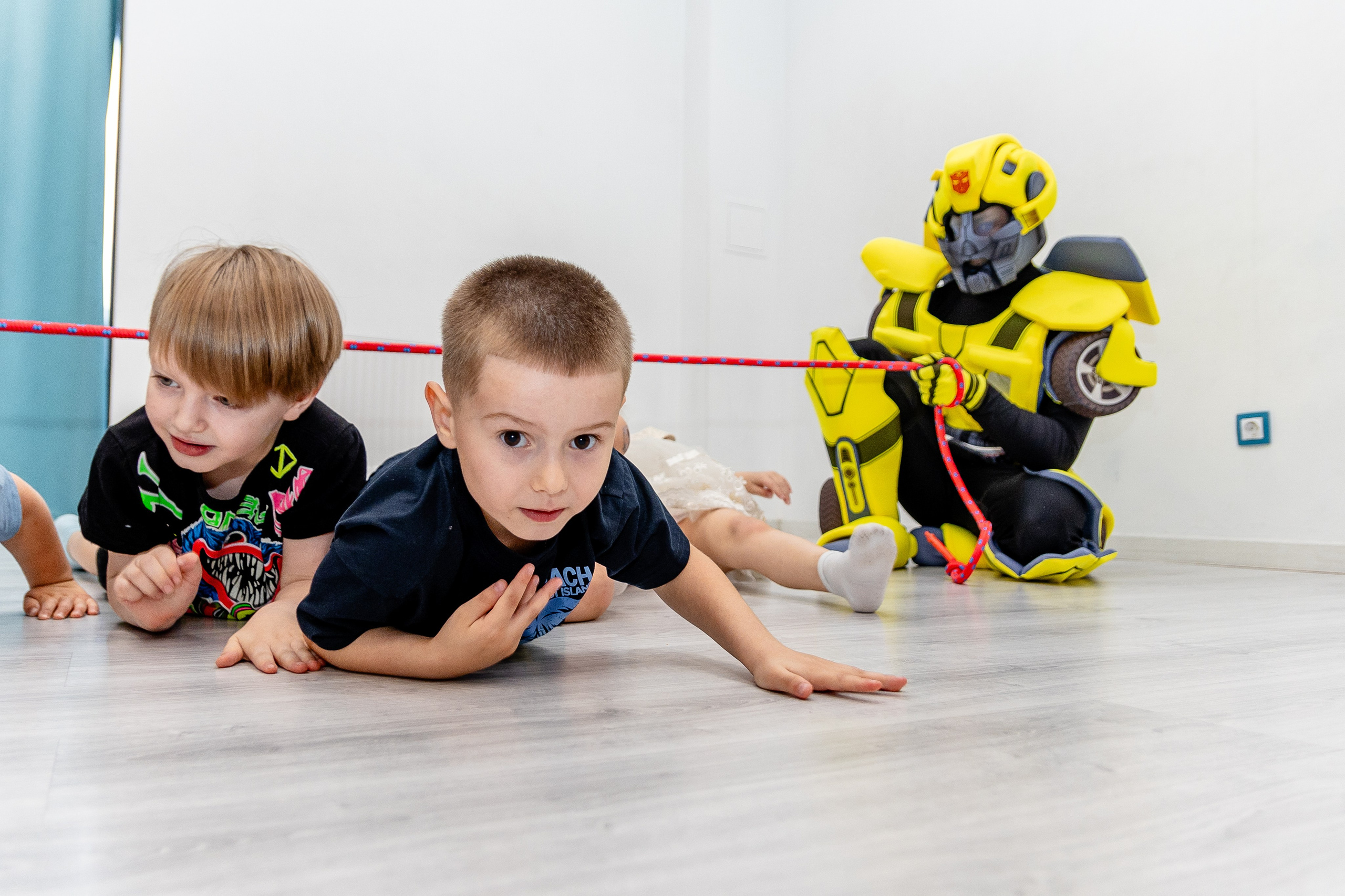 Авокадо. Фотограф Елена Медок Калининград