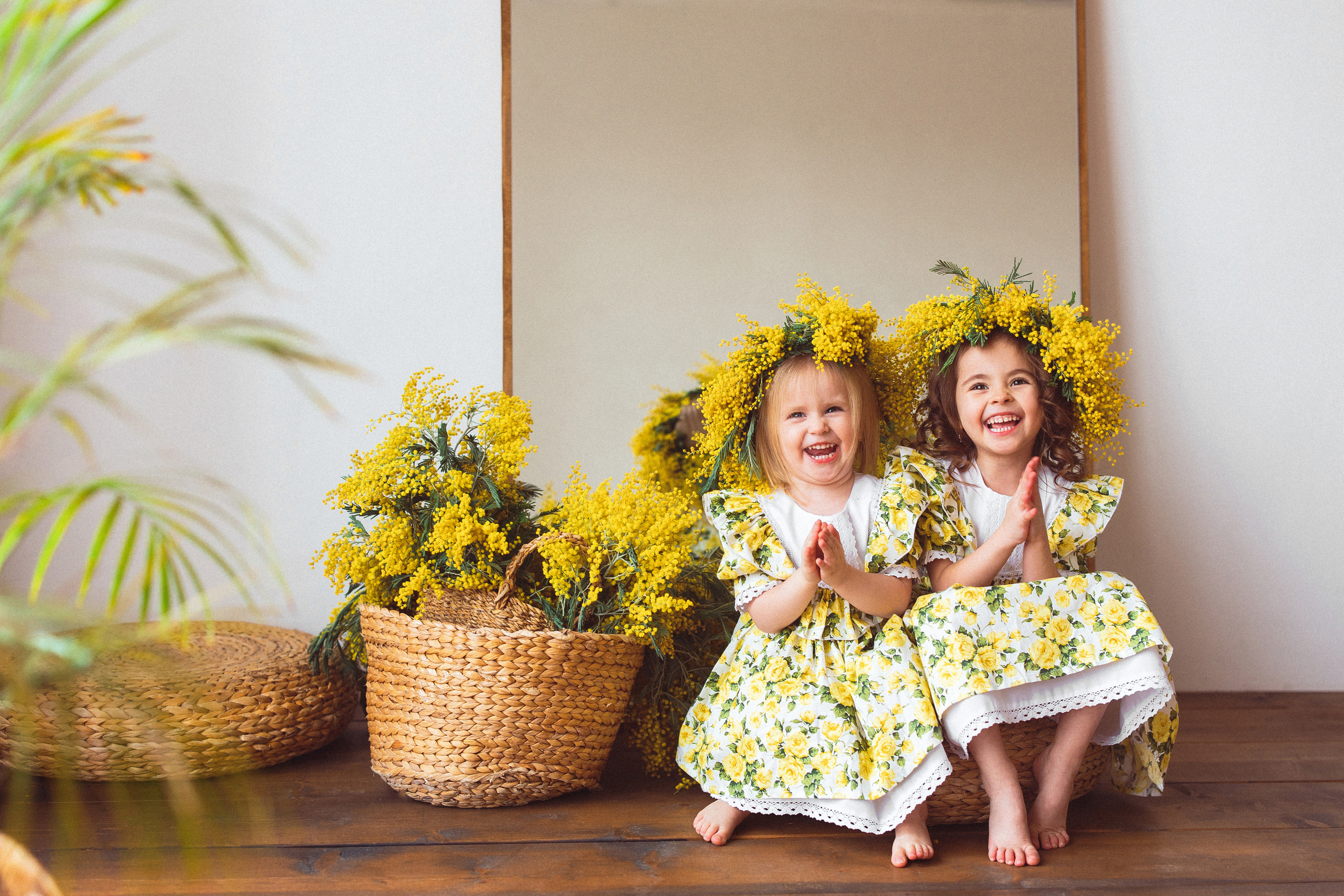 Мимоза, Фотостудия «Майя». Семейный и детский фотограф в Краснодаре Анна Трашкова
