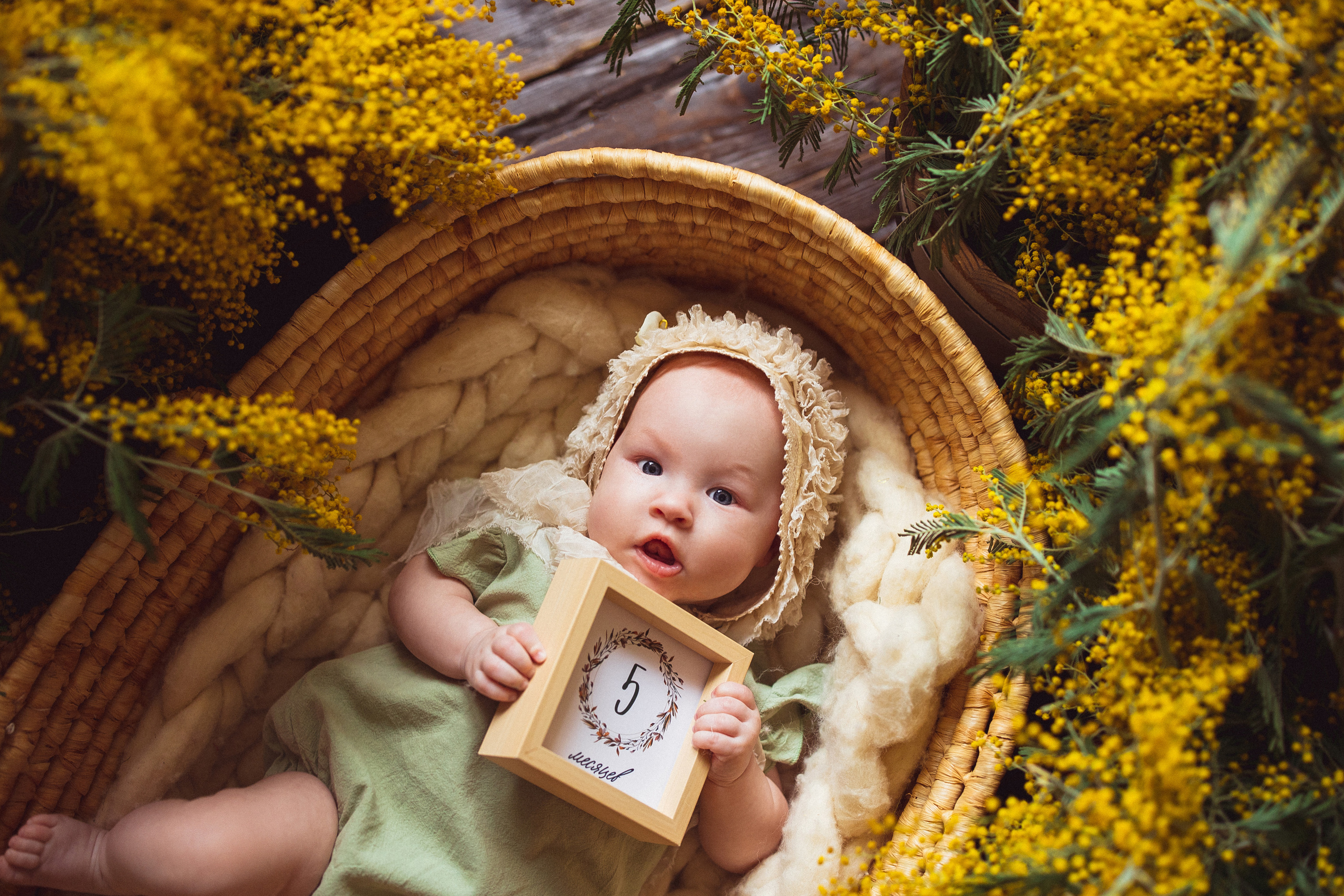 Мимоза, Фотостудия «АНТУРАЖ». Семейный и детский фотограф в Краснодаре Анна Трашкова