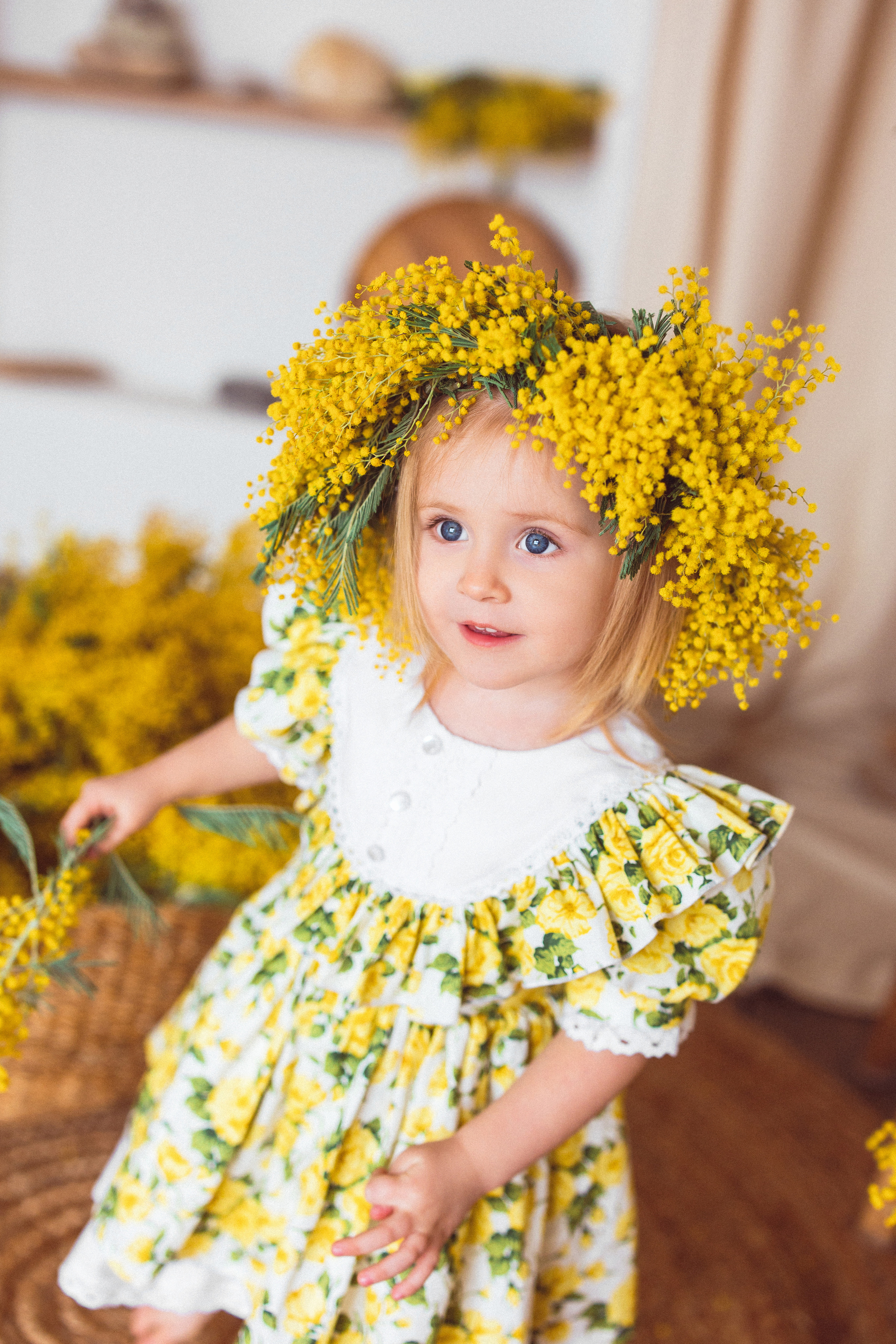 Мимоза, Фотостудия «Майя». Семейный и детский фотограф в Краснодаре Анна Трашкова