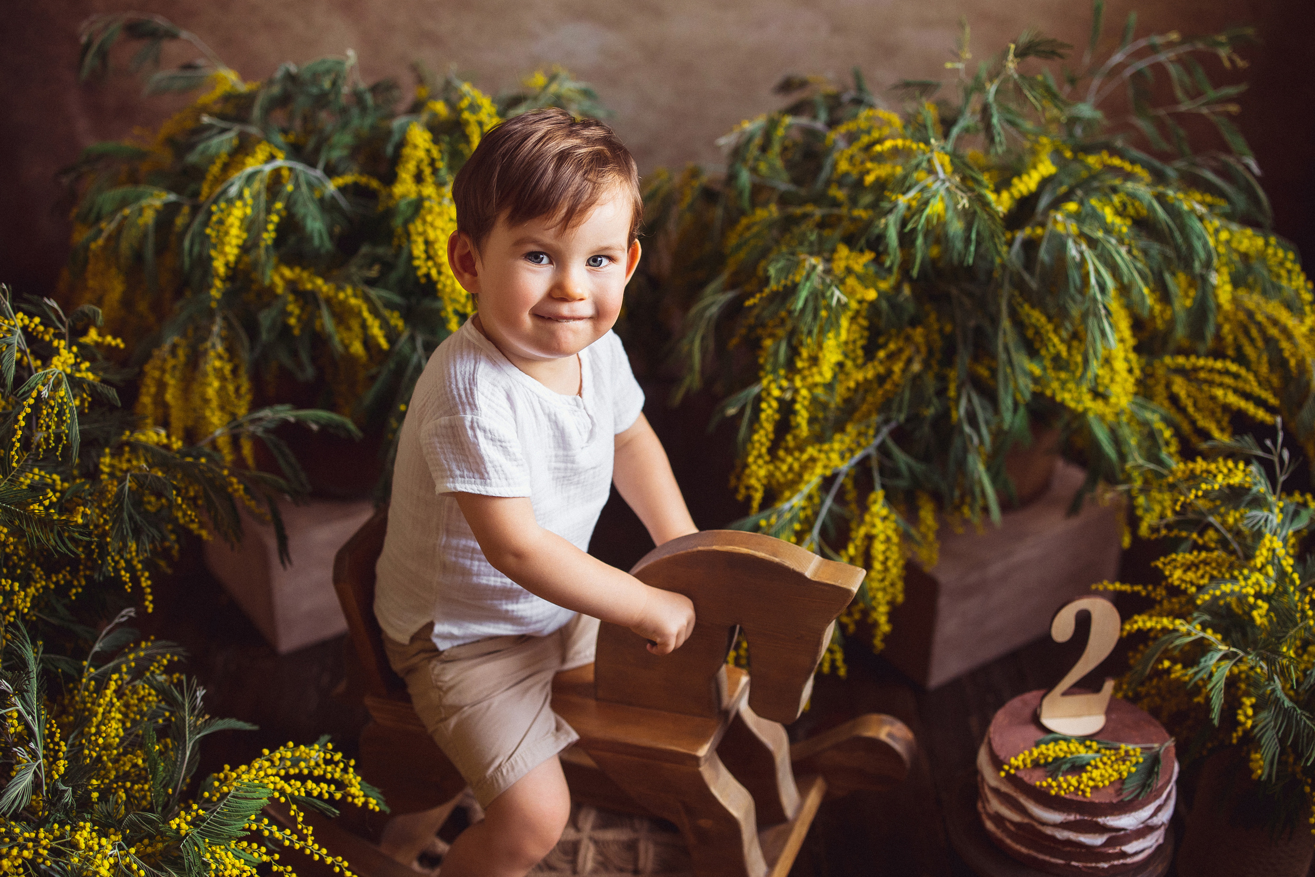 Мимоза, Фотостудия «АНТУРАЖ». Семейный и детский фотограф в Краснодаре Анна Трашкова