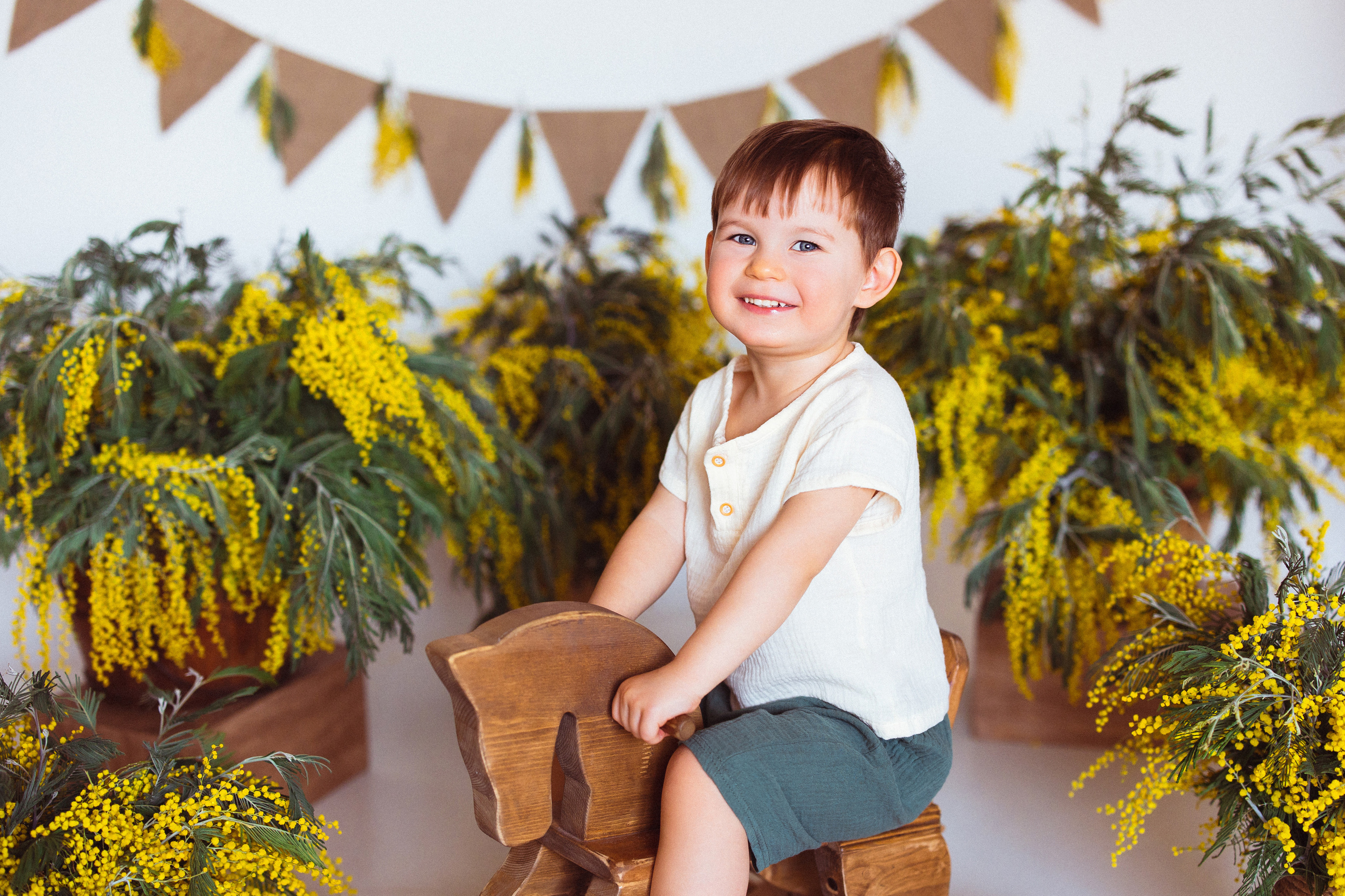 Мимоза, Фотостудия «АНТУРАЖ». Семейный и детский фотограф в Краснодаре Анна Трашкова