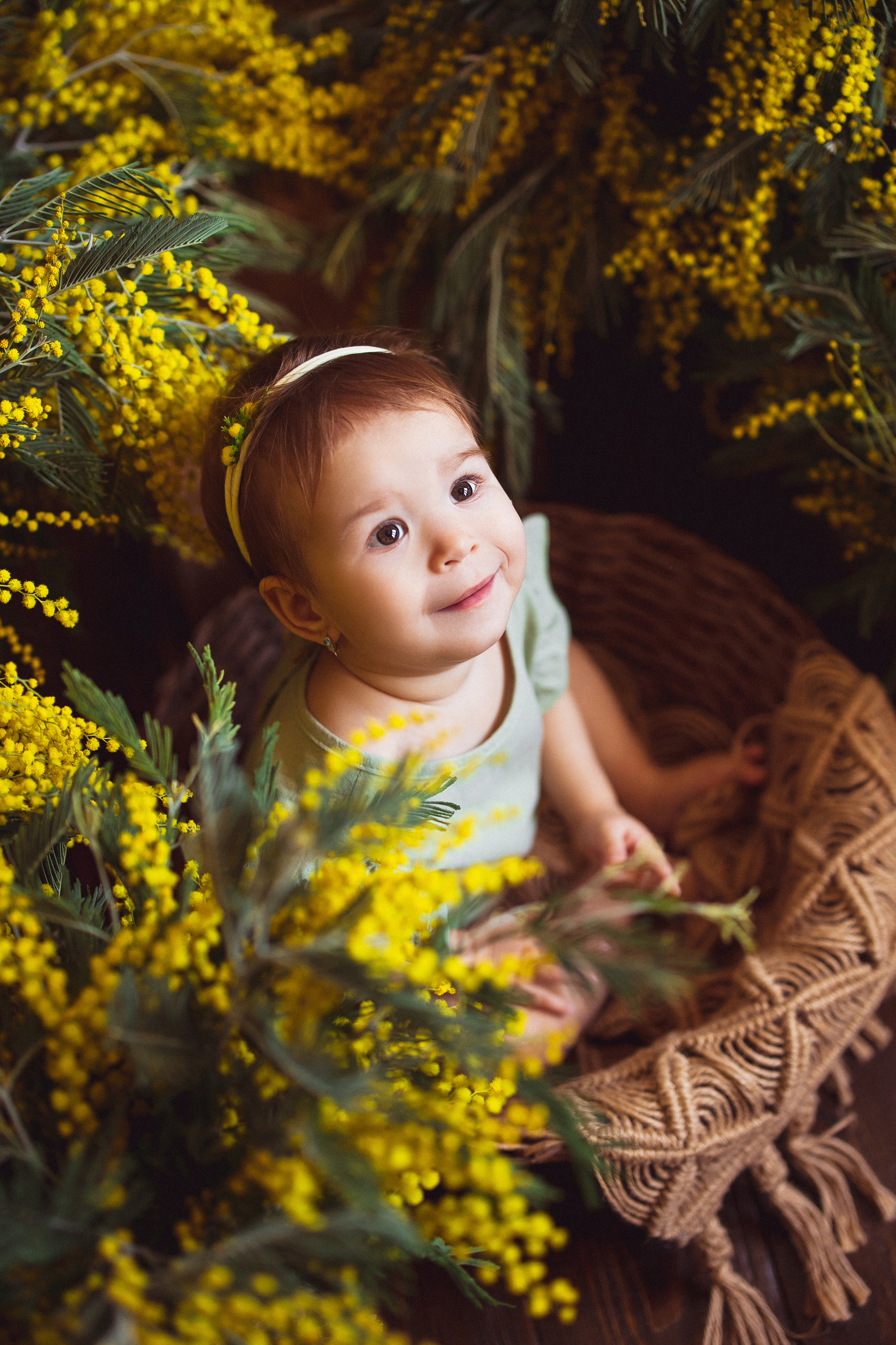 Мимоза, Фотостудия «АНТУРАЖ». Семейный и детский фотограф в Краснодаре Анна Трашкова
