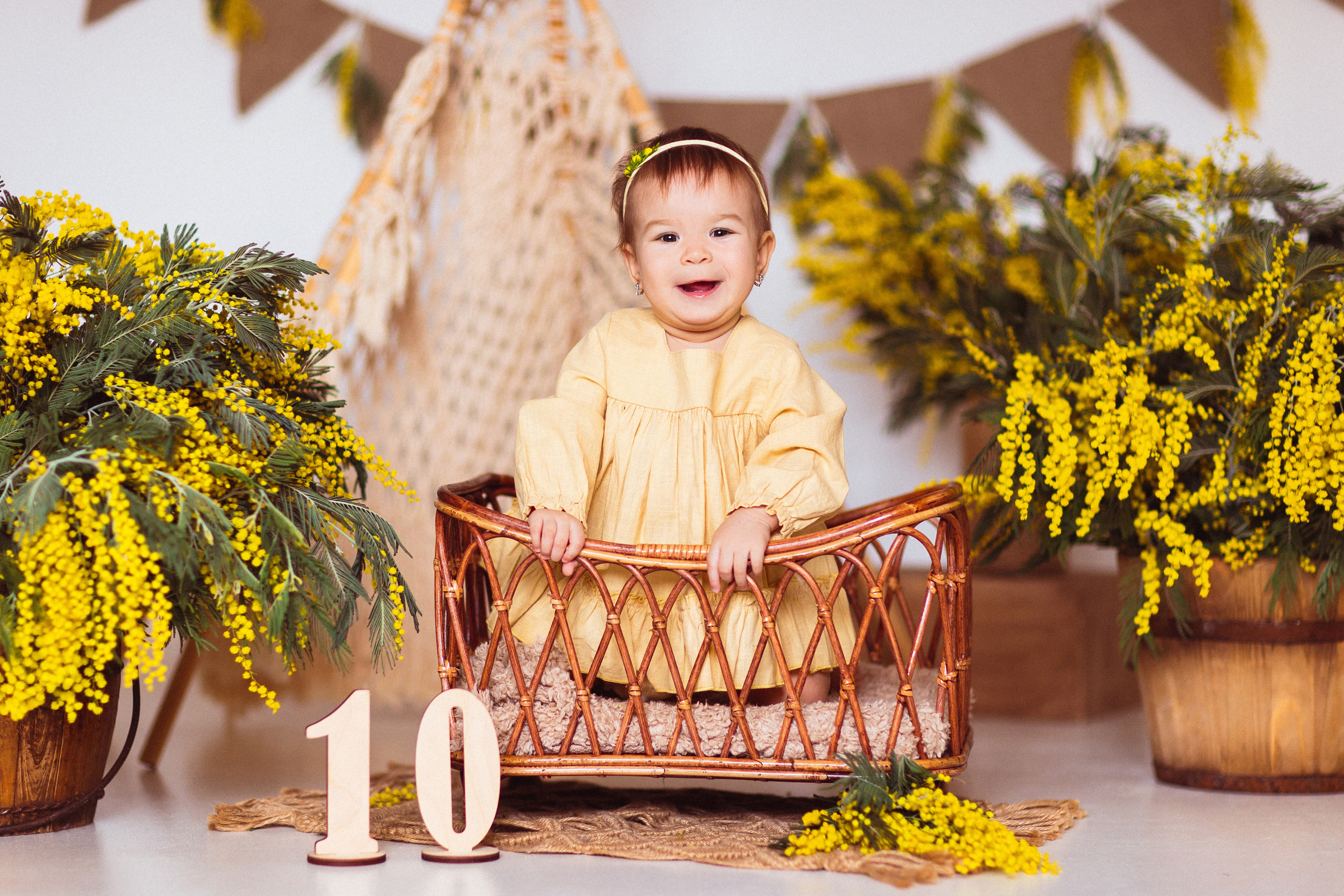 Мимоза, Фотостудия «АНТУРАЖ». Семейный и детский фотограф в Краснодаре Анна Трашкова