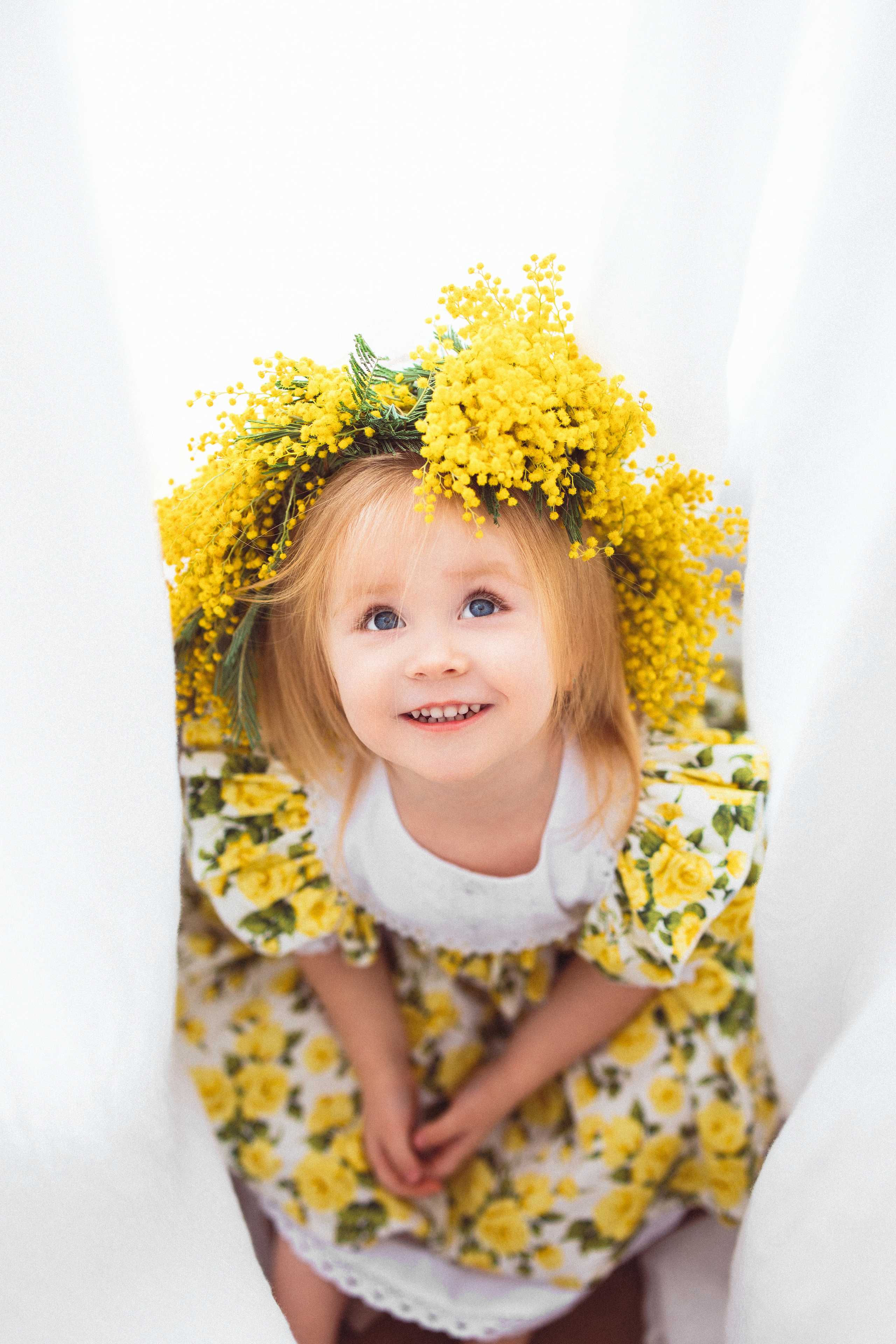 Мимоза, Фотостудия «Майя». Семейный и детский фотограф в Краснодаре Анна Трашкова