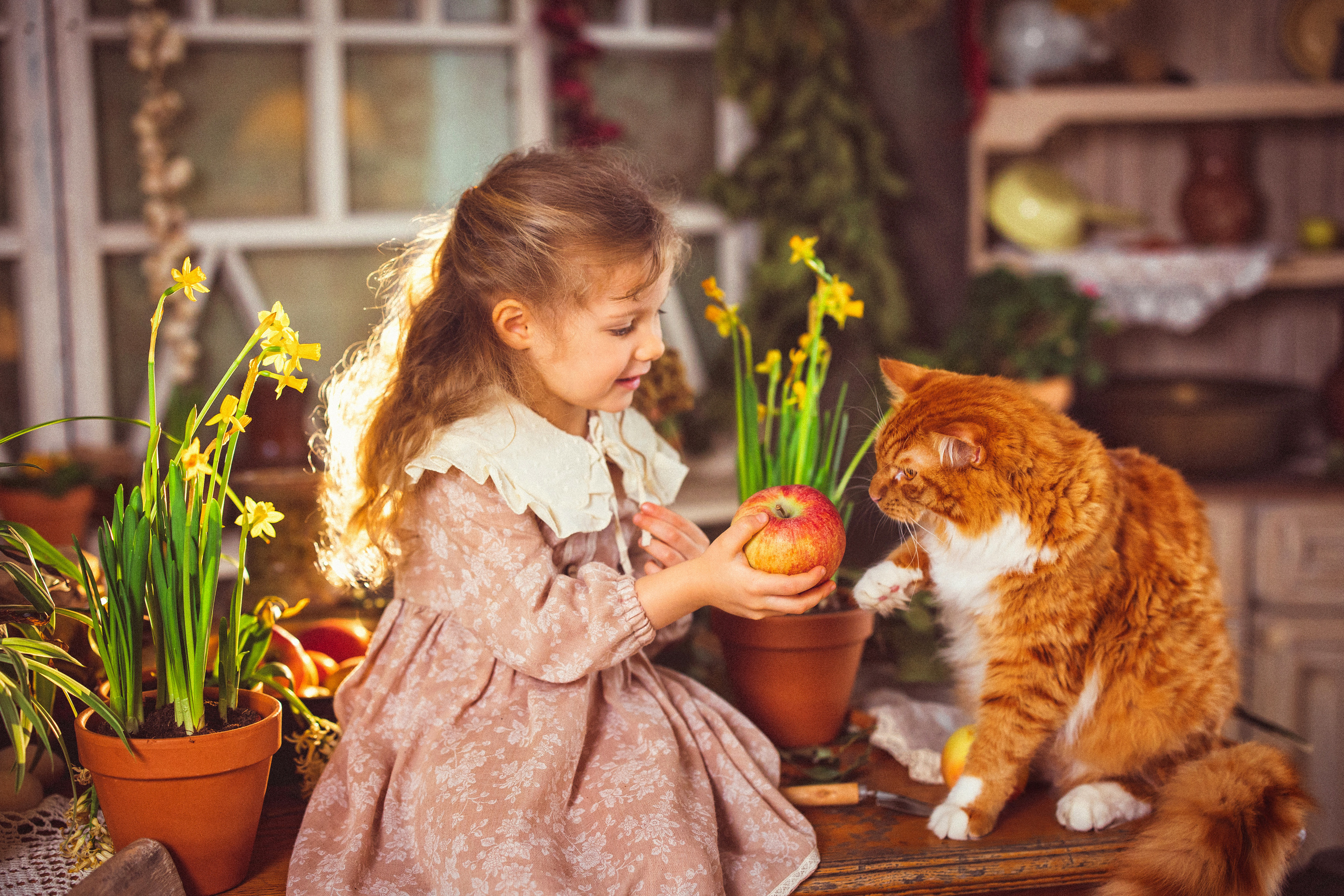 Фотостудия «Авторская», весна — лето 2023 г. Семейный и детский фотограф в Краснодаре Анна Трашкова
