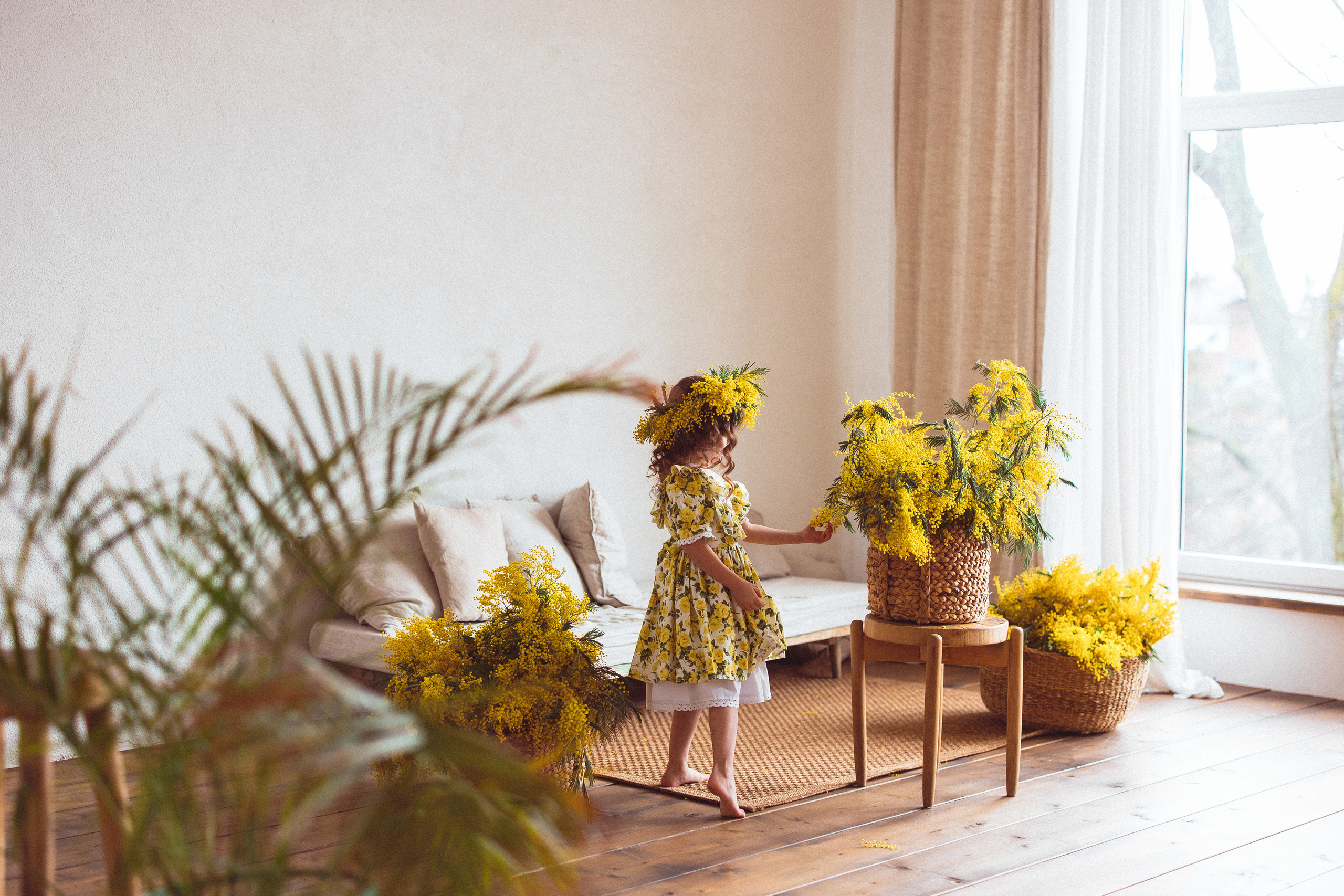 Мимоза, Фотостудия «Майя». Семейный и детский фотограф в Краснодаре Анна Трашкова