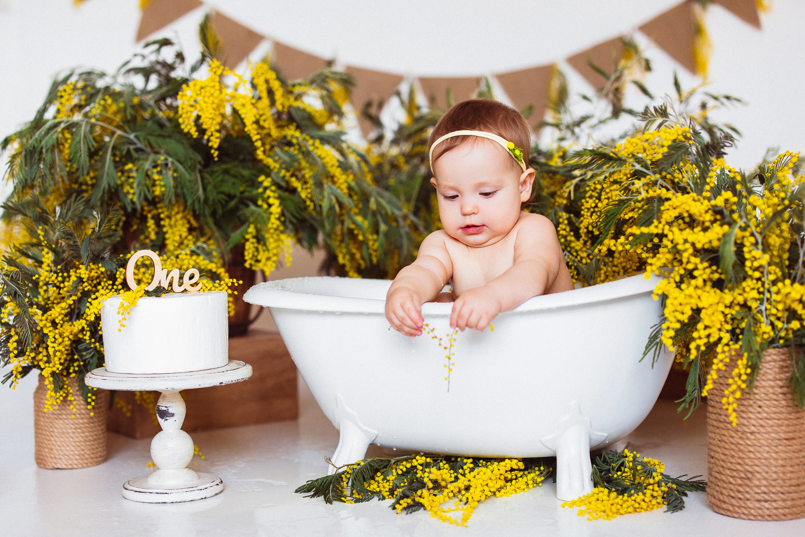 Мимоза, Фотостудия «АНТУРАЖ». Семейный и детский фотограф в Краснодаре Анна Трашкова