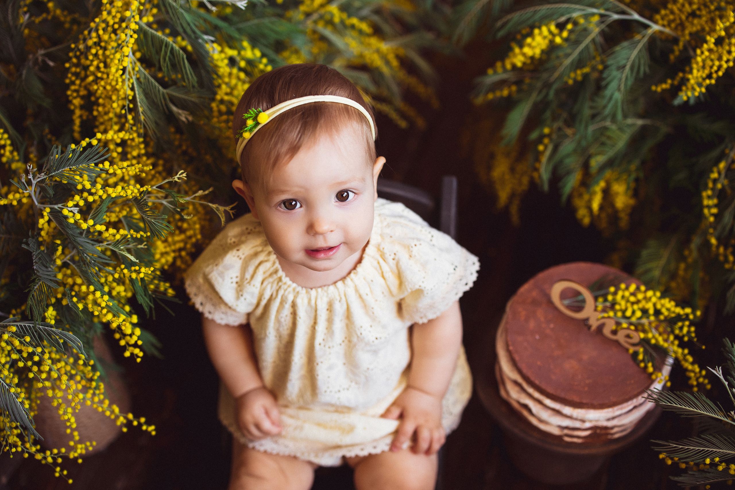 Мимоза, Фотостудия «АНТУРАЖ». Семейный и детский фотограф в Краснодаре Анна Трашкова