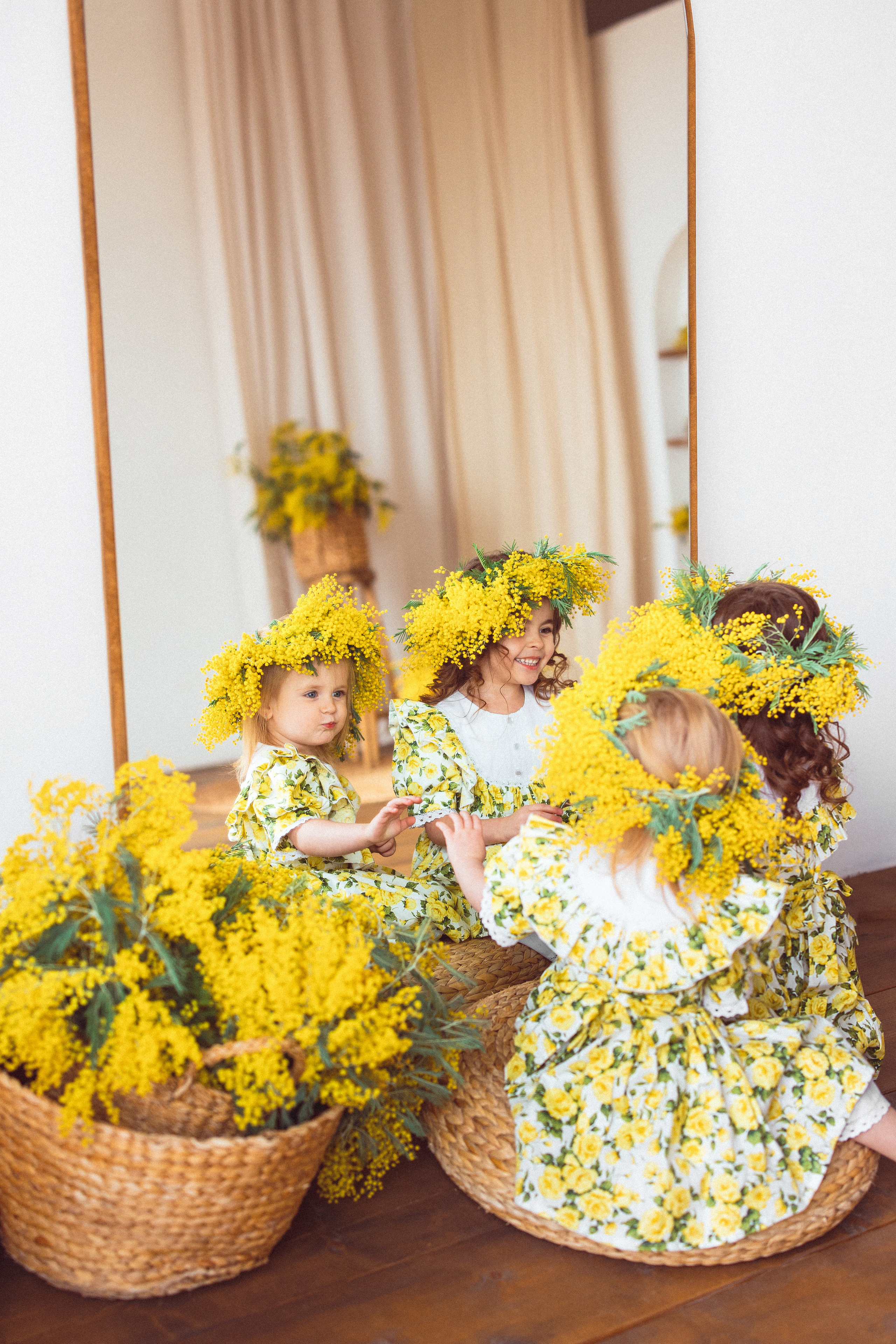 Мимоза, Фотостудия «Майя». Семейный и детский фотограф в Краснодаре Анна Трашкова