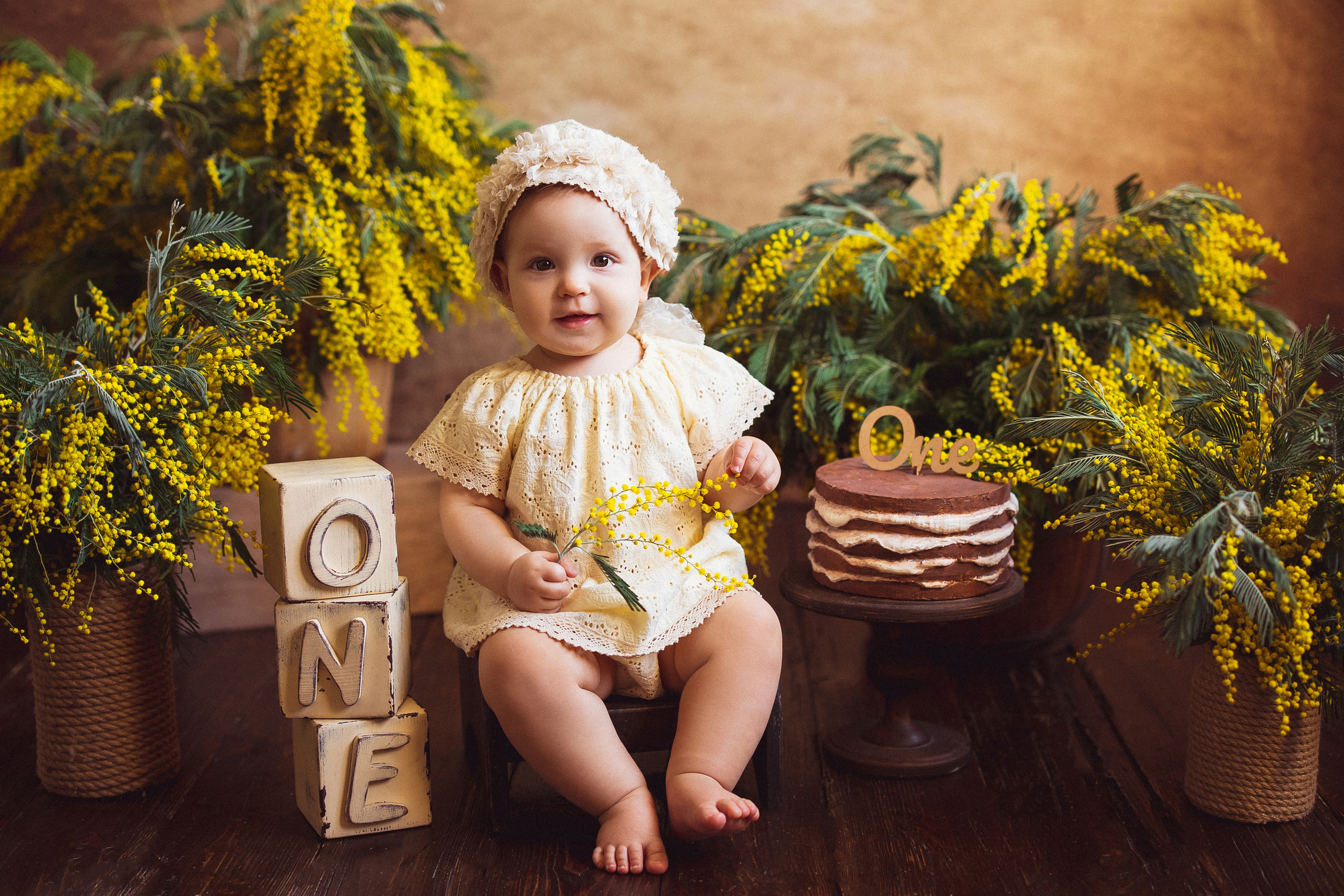 Мимоза, Фотостудия «АНТУРАЖ». Семейный и детский фотограф в Краснодаре Анна Трашкова