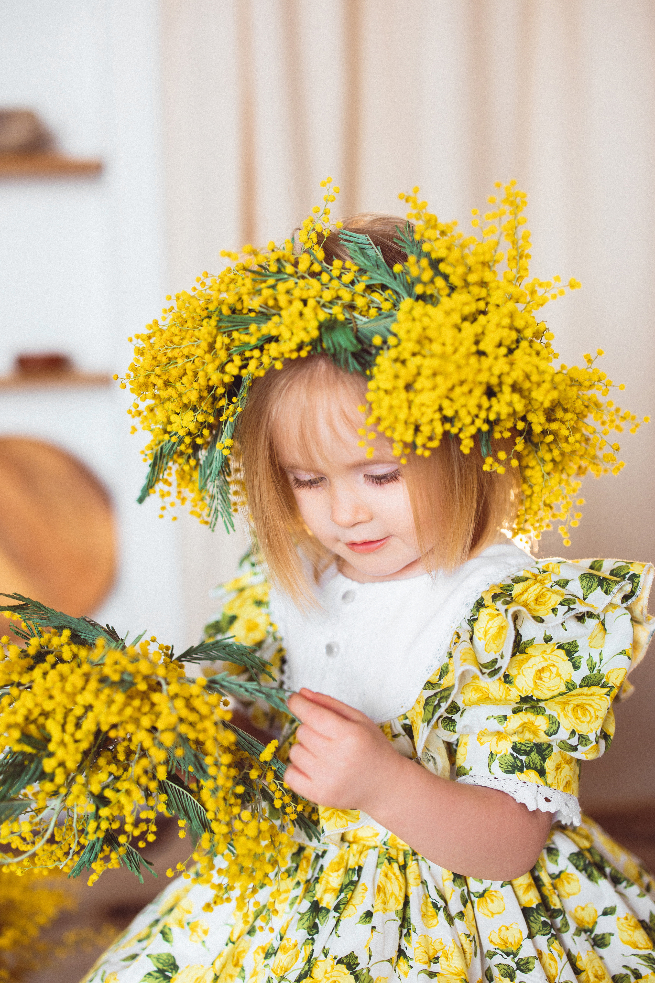 Мимоза, Фотостудия «Майя». Семейный и детский фотограф в Краснодаре Анна Трашкова