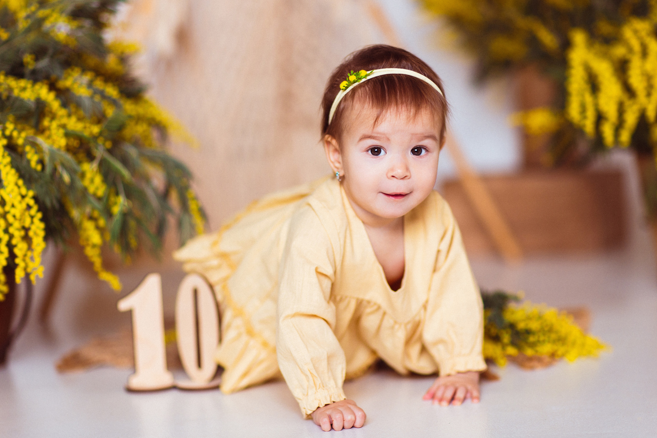 Мимоза, Фотостудия «АНТУРАЖ». Семейный и детский фотограф в Краснодаре Анна Трашкова