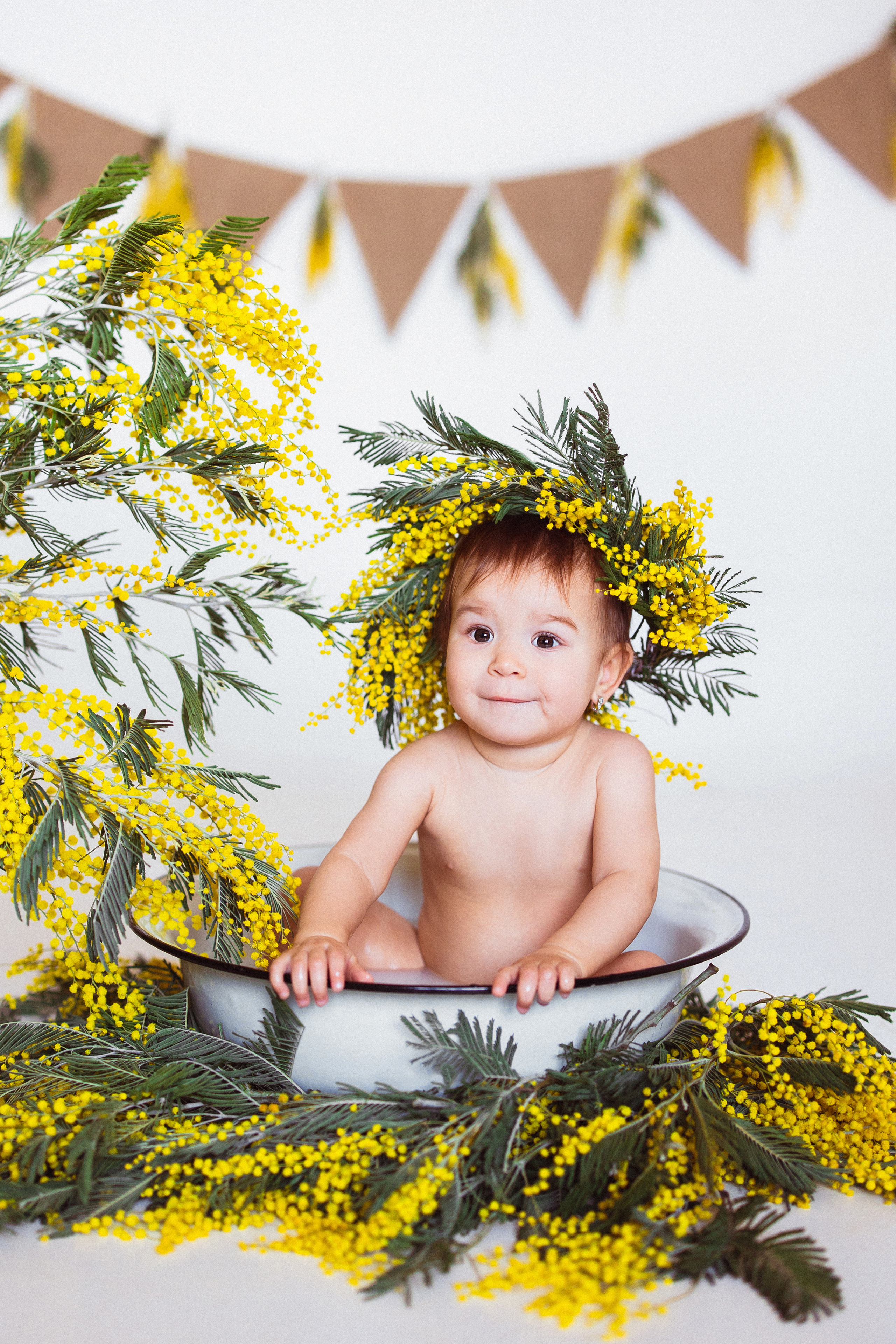 Мимоза, Фотостудия «АНТУРАЖ». Семейный и детский фотограф в Краснодаре Анна Трашкова