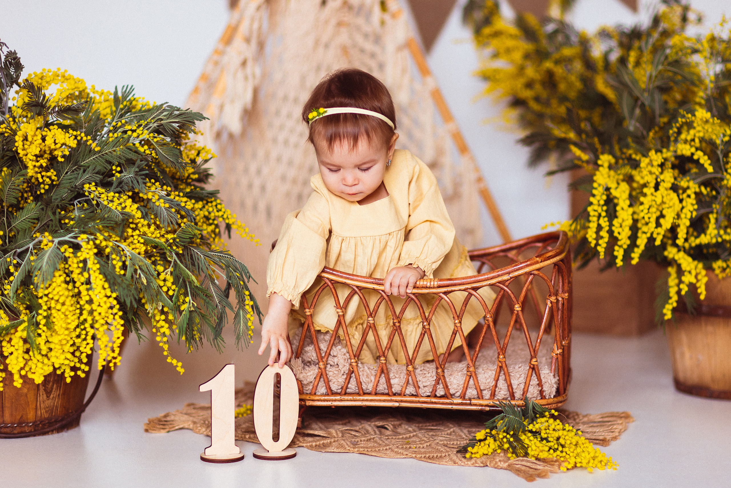 Мимоза, Фотостудия «АНТУРАЖ». Семейный и детский фотограф в Краснодаре Анна Трашкова