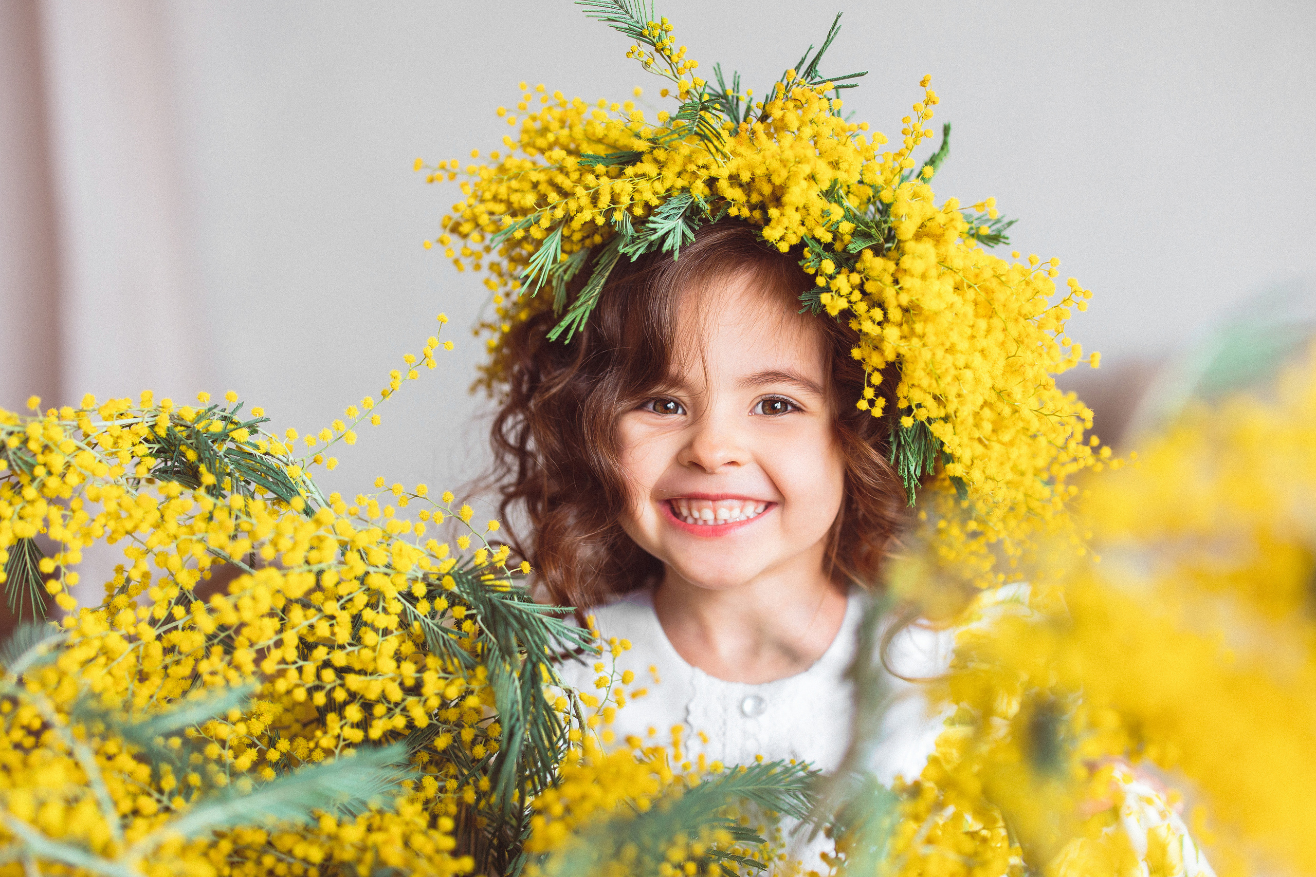 Мимоза, Фотостудия «Майя». Семейный и детский фотограф в Краснодаре Анна Трашкова