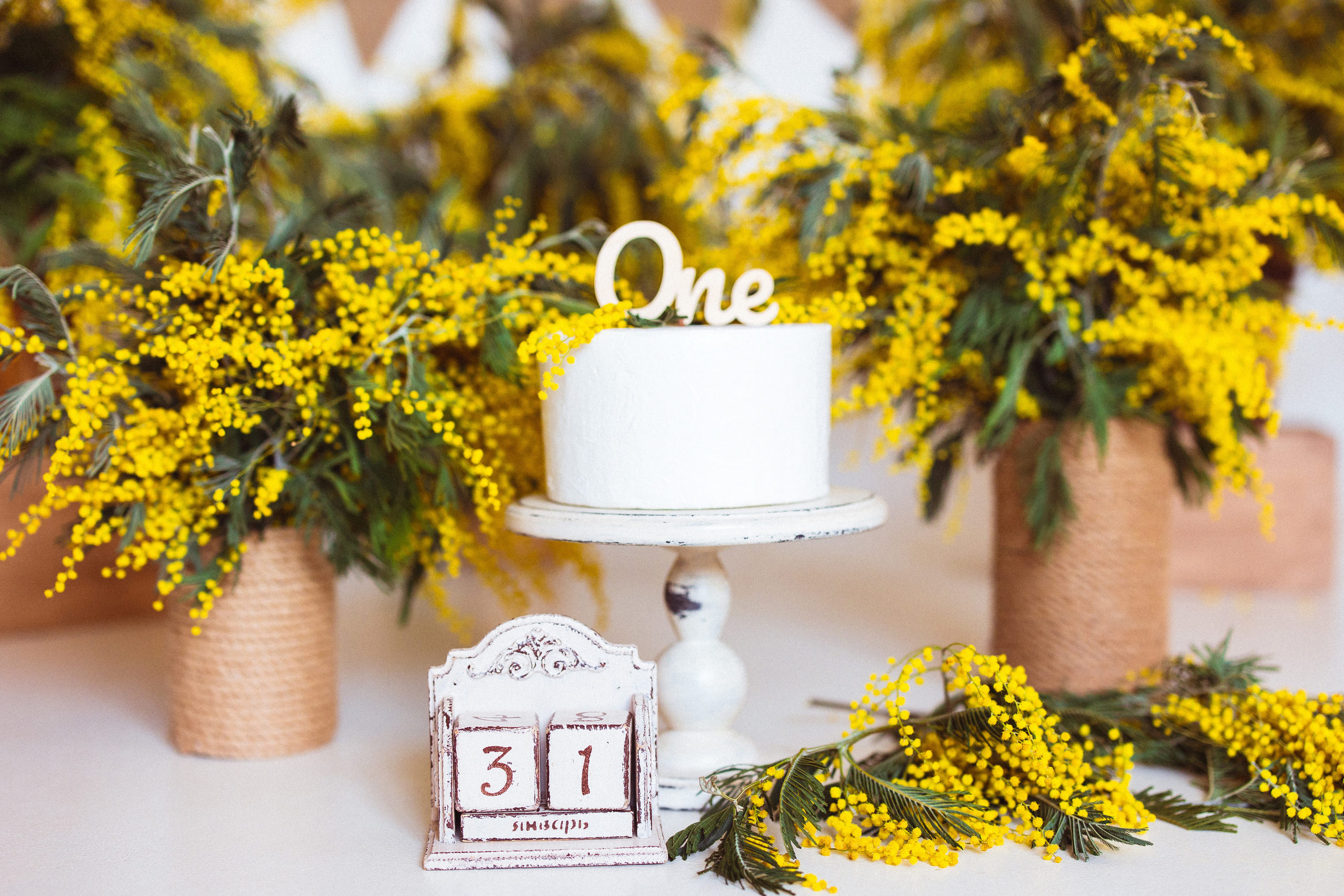 Мимоза, Фотостудия «АНТУРАЖ». Семейный и детский фотограф в Краснодаре Анна Трашкова